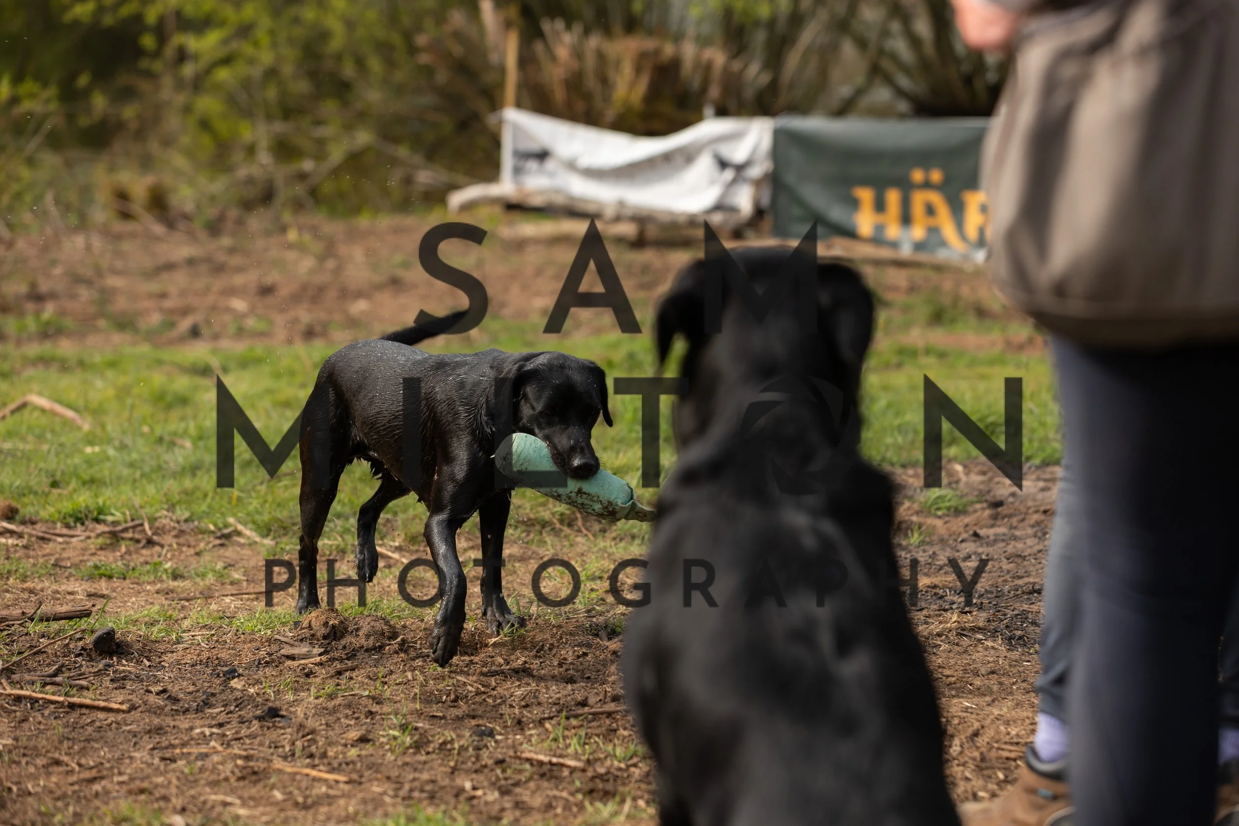Gun Dog Challenge-71.jpg