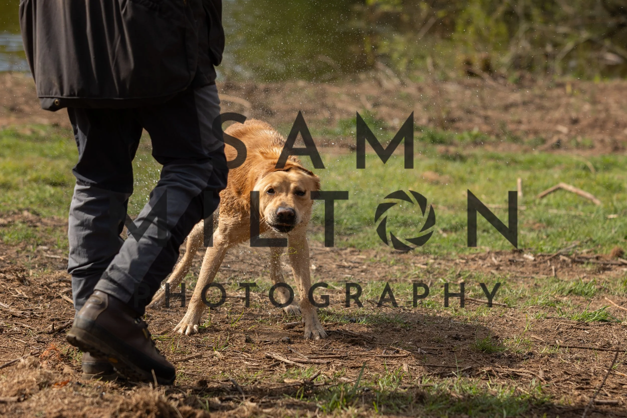 Gun Dog Challenge-103.jpg