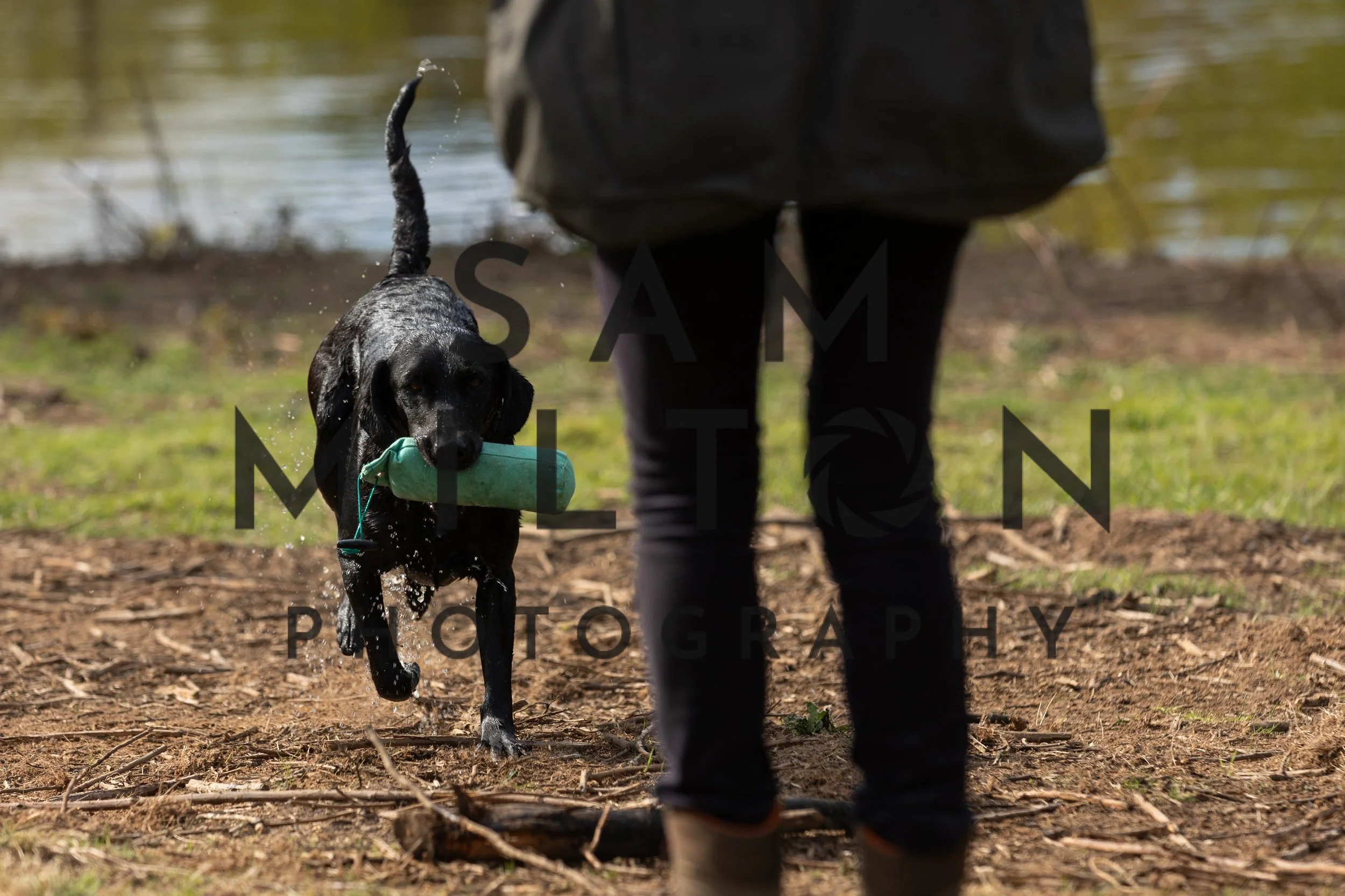 Gun Dog Challenge-88.jpg