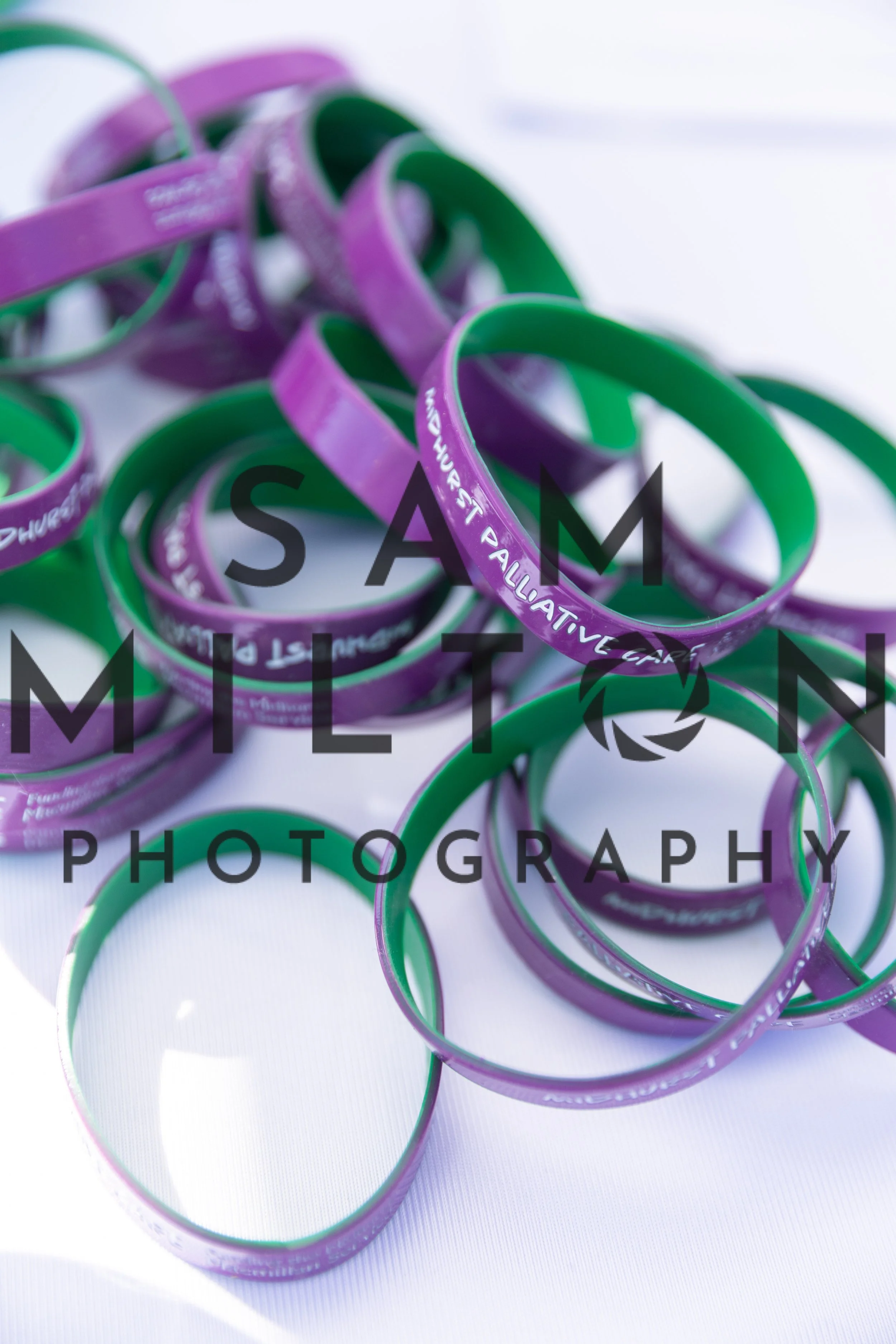 Gun Dog Challenge-431.jpg