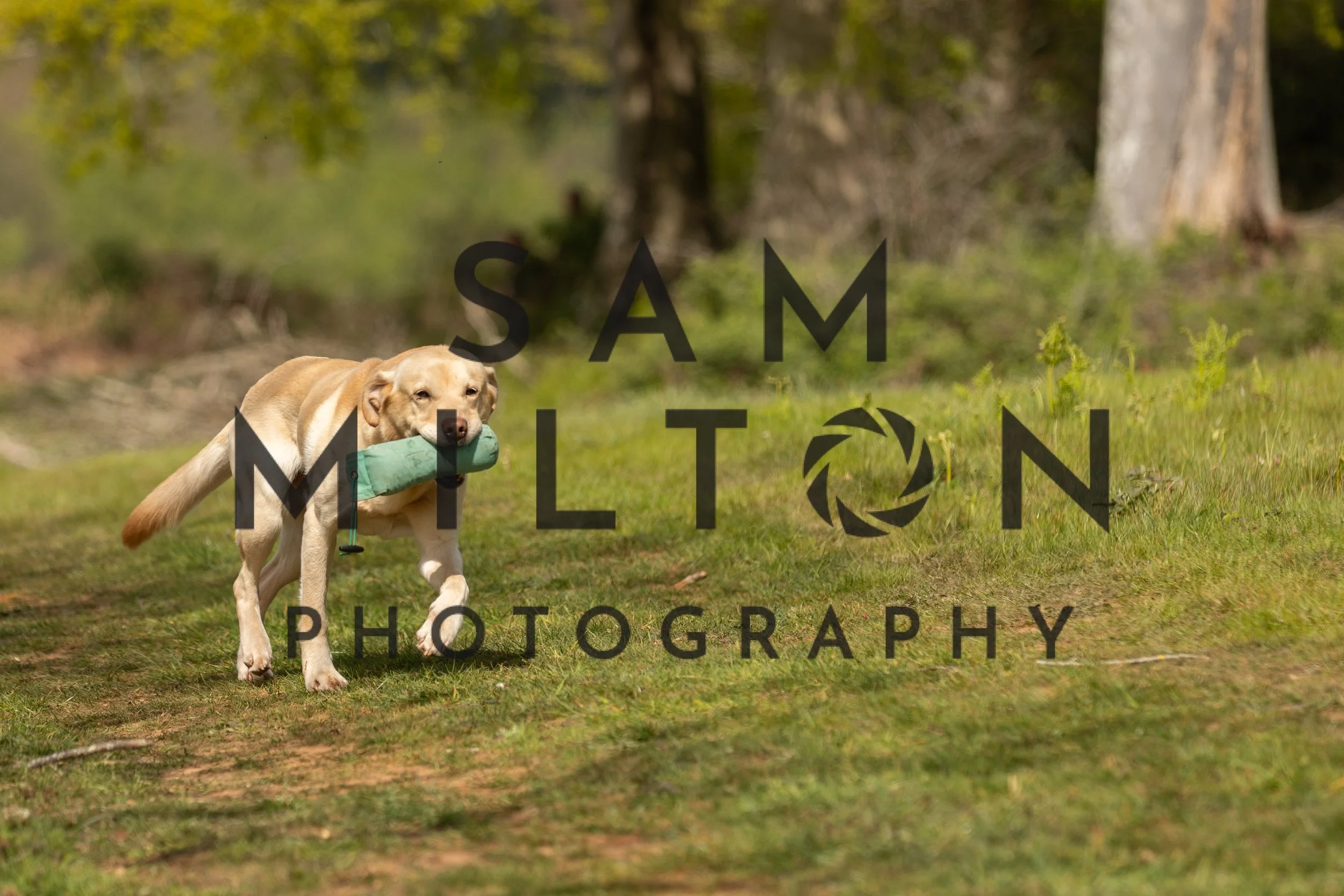 Gun Dog Challenge-145.jpg