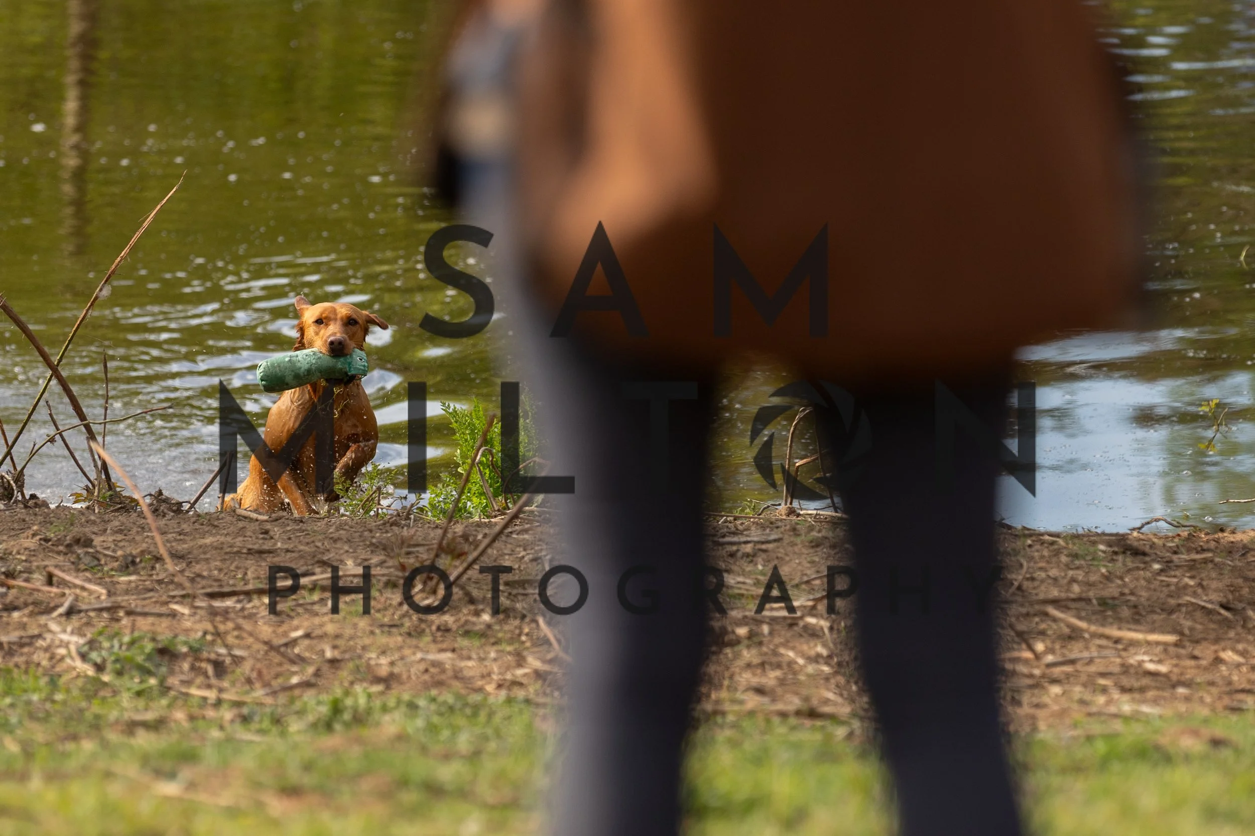 Gun Dog Challenge-30.jpg