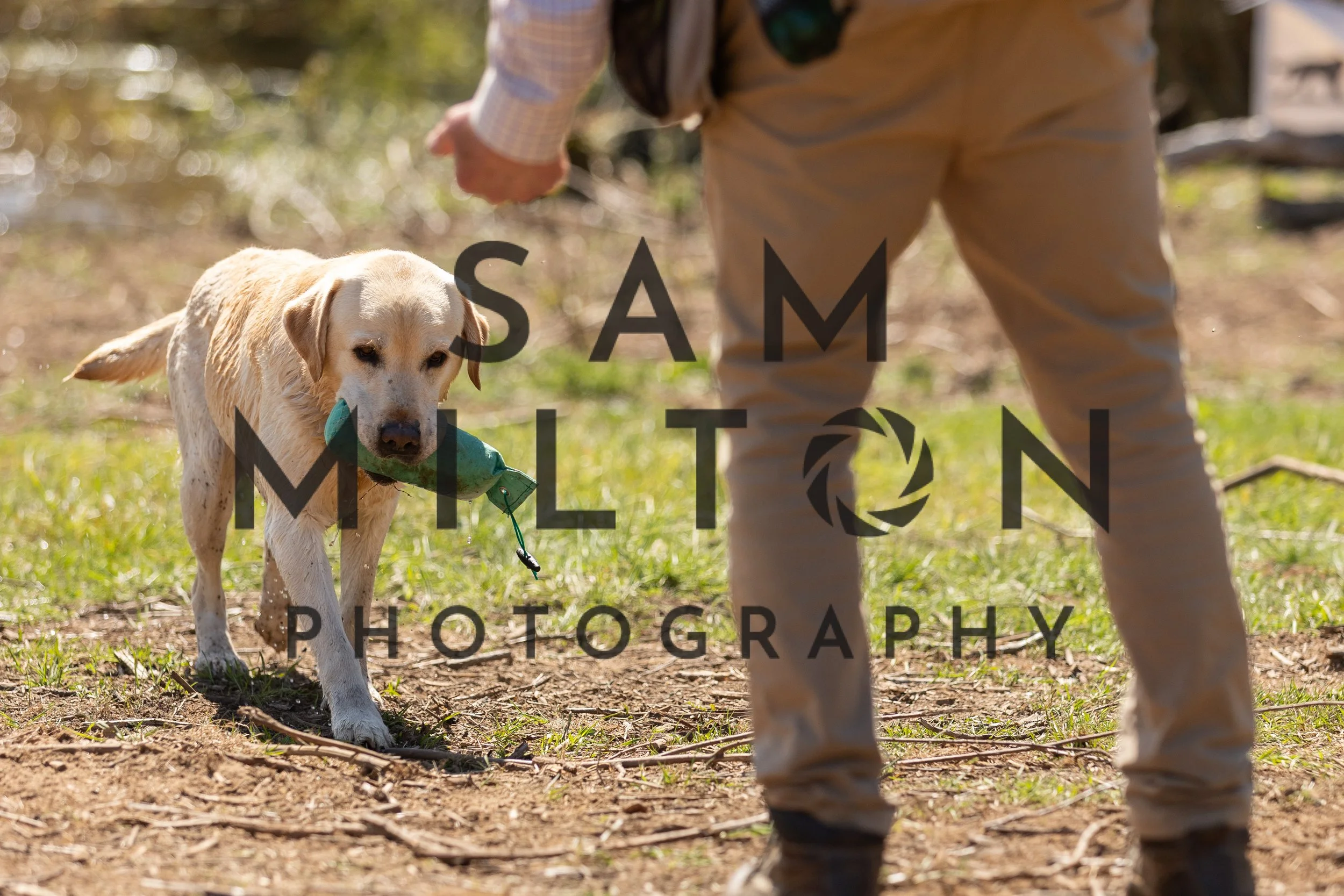 Gun Dog Challenge-367.jpg