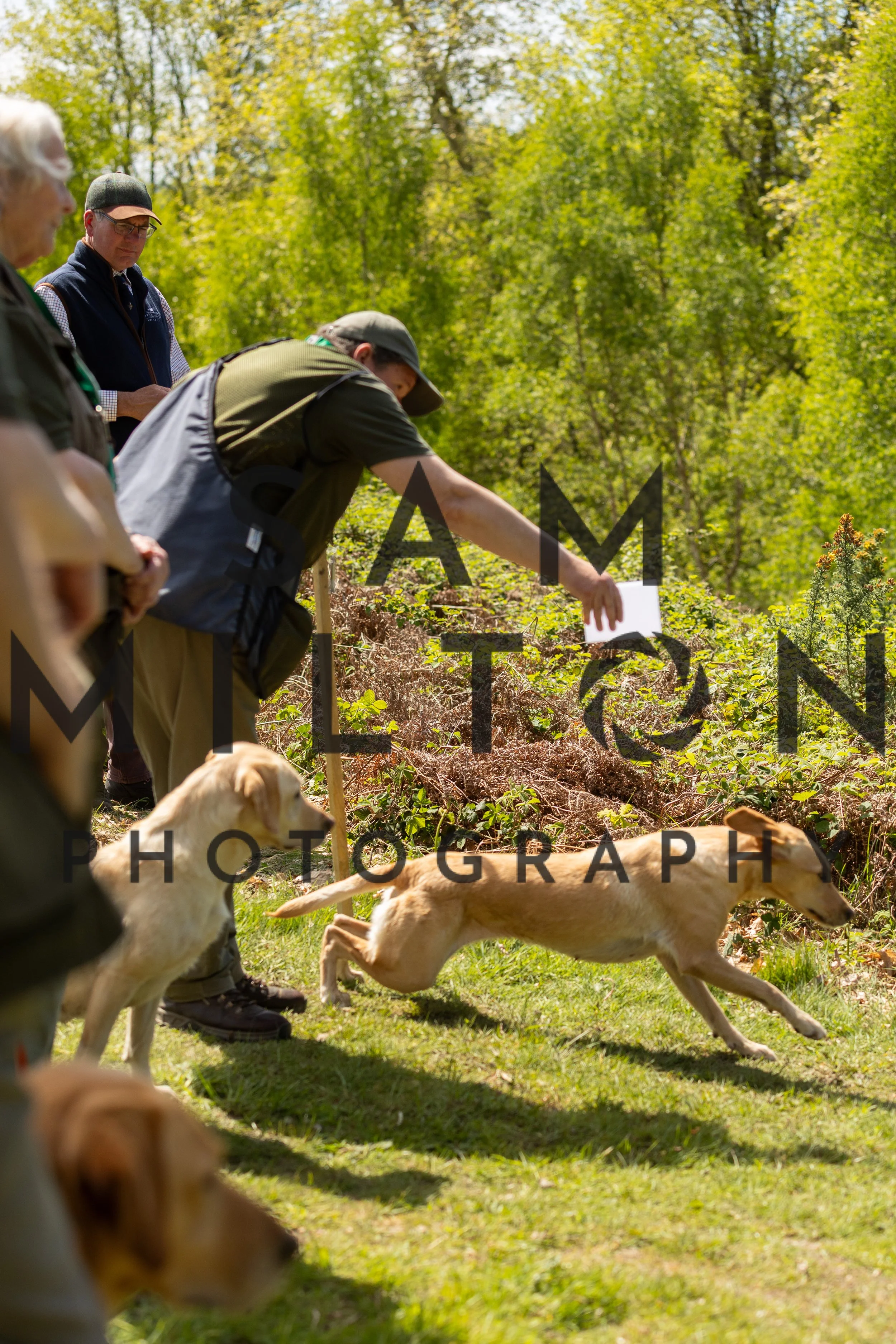 Gun Dog Challenge-269.jpg