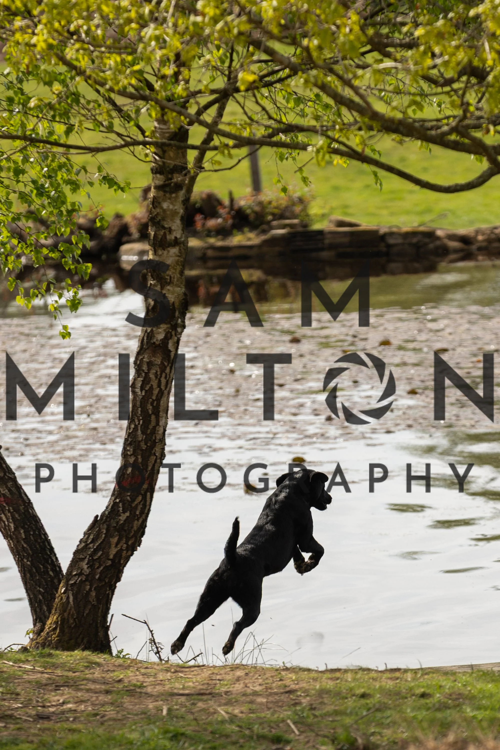 Gun Dog Challenge-85.jpg