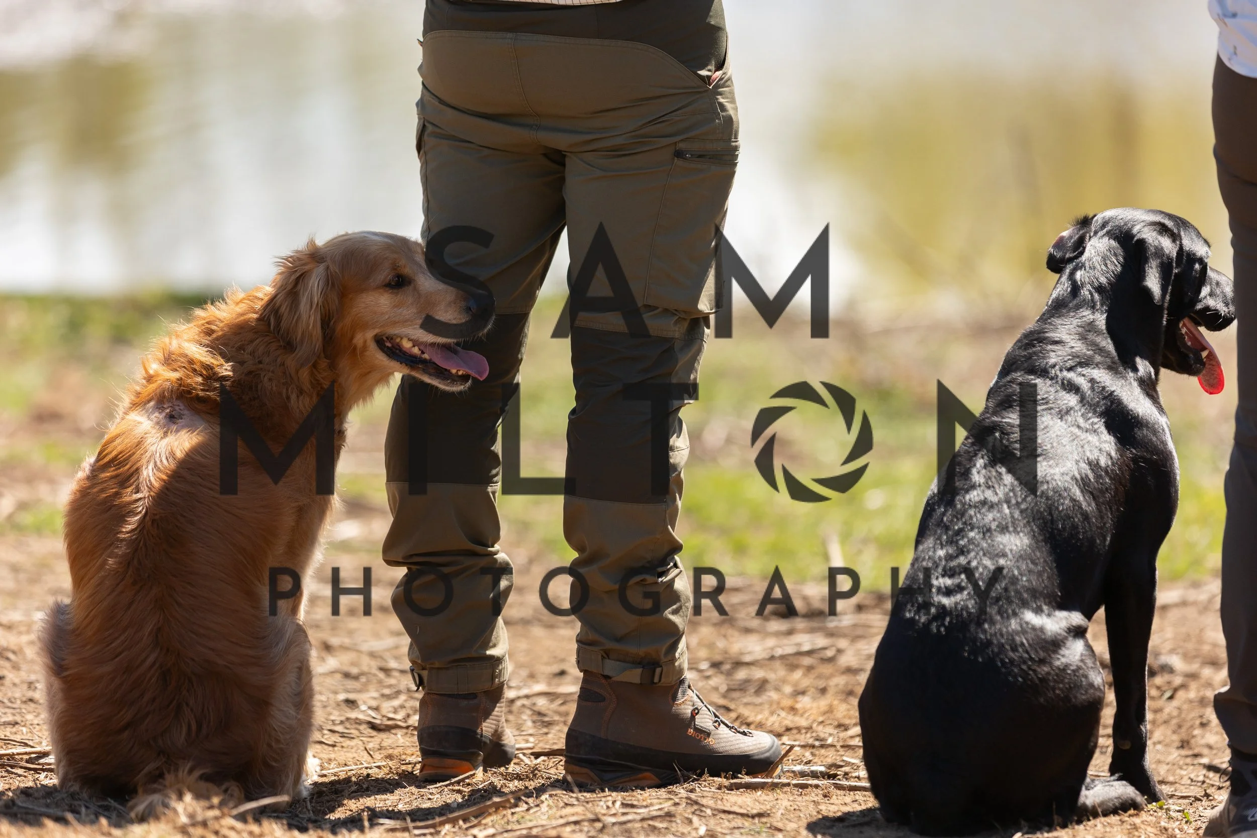 Gun Dog Challenge-385.jpg