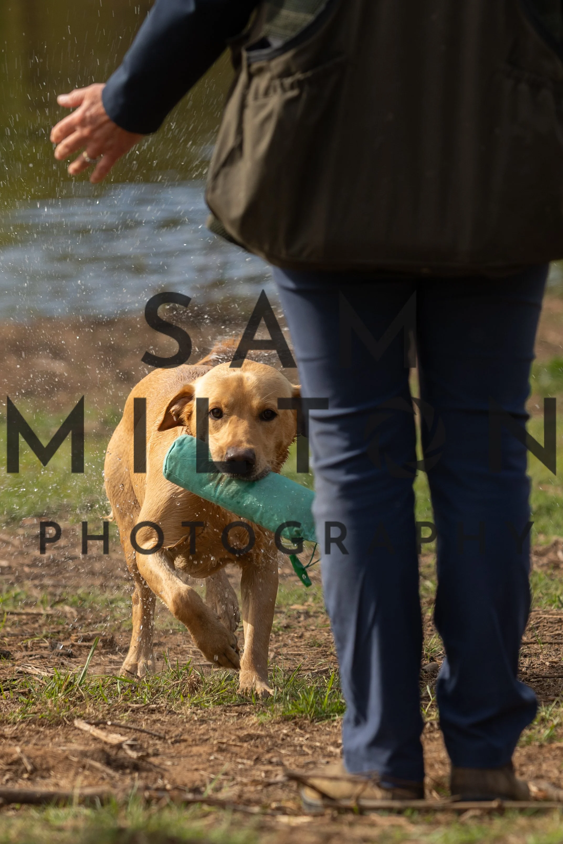 Gun Dog Challenge-80.jpg