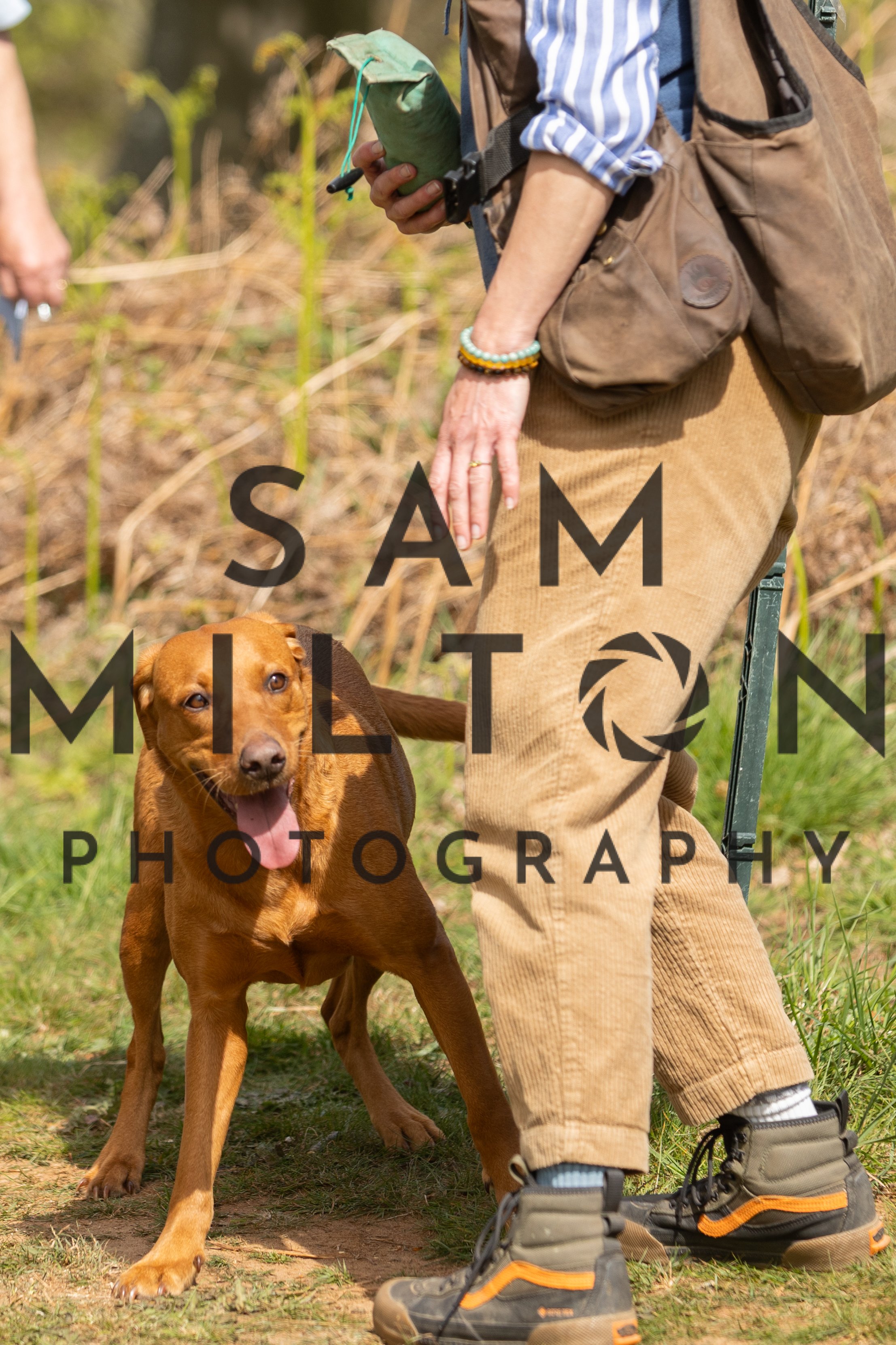Gun Dog Challenge-160.jpg