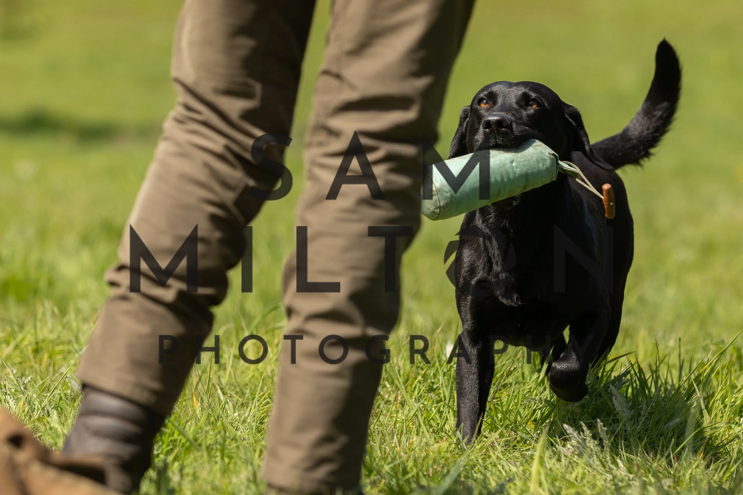 Gun Dog Challenge-218.jpg