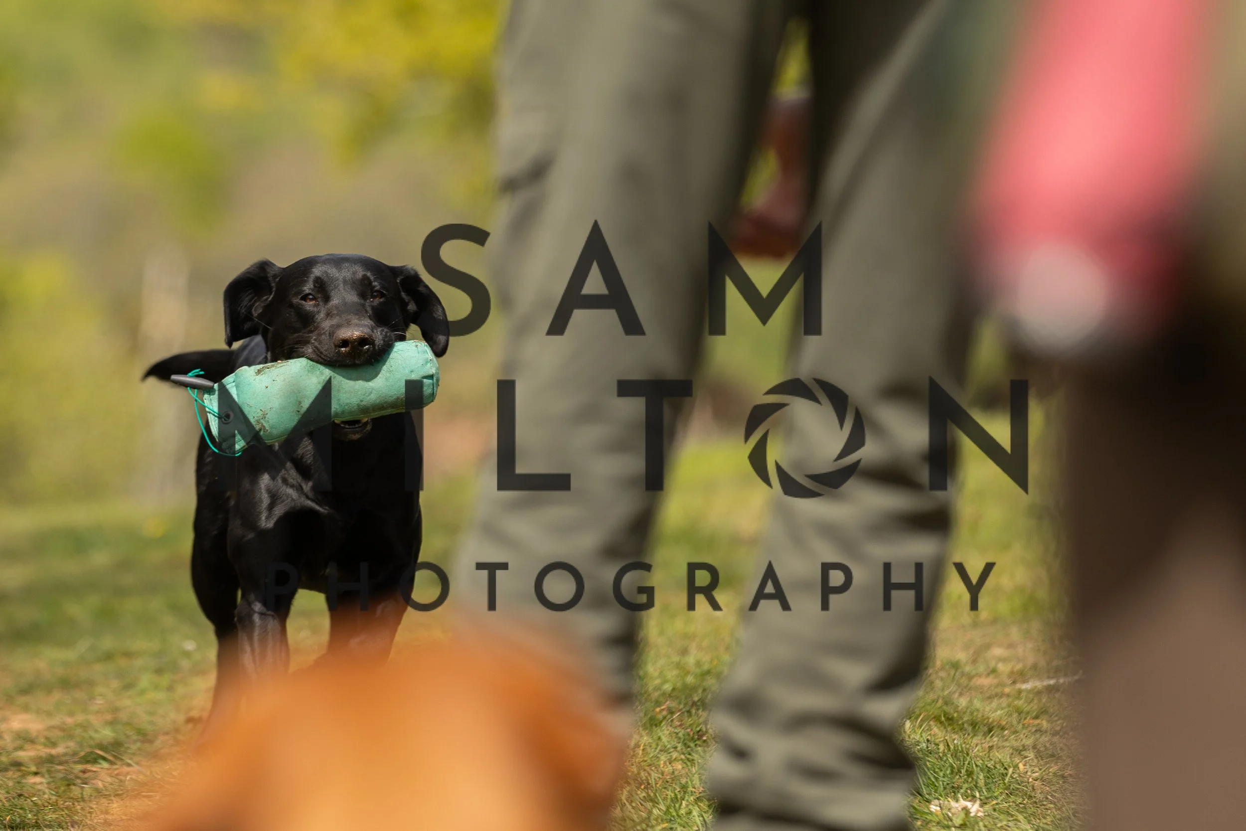 Gun Dog Challenge-163.jpg