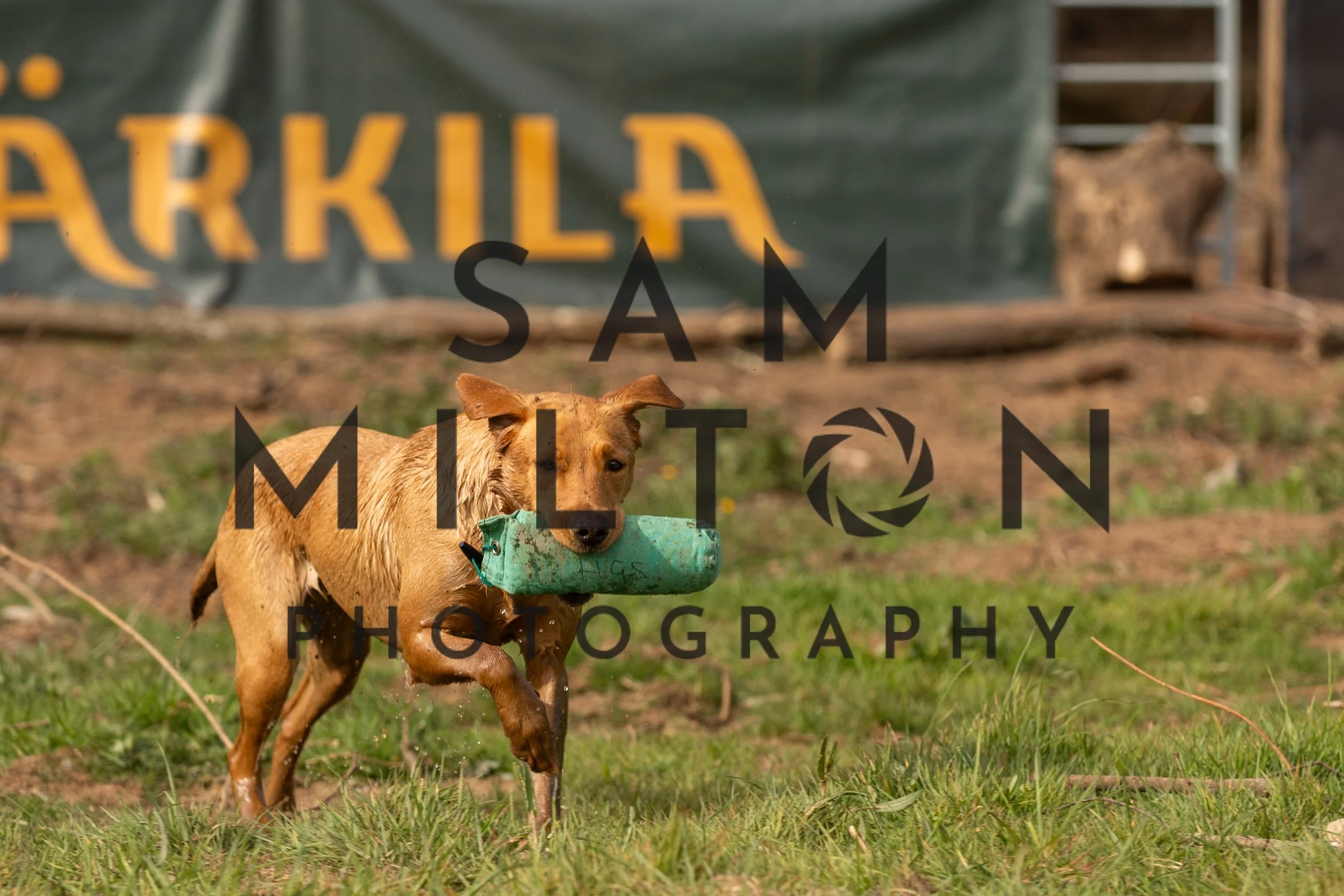 Gun Dog Challenge-23.jpg