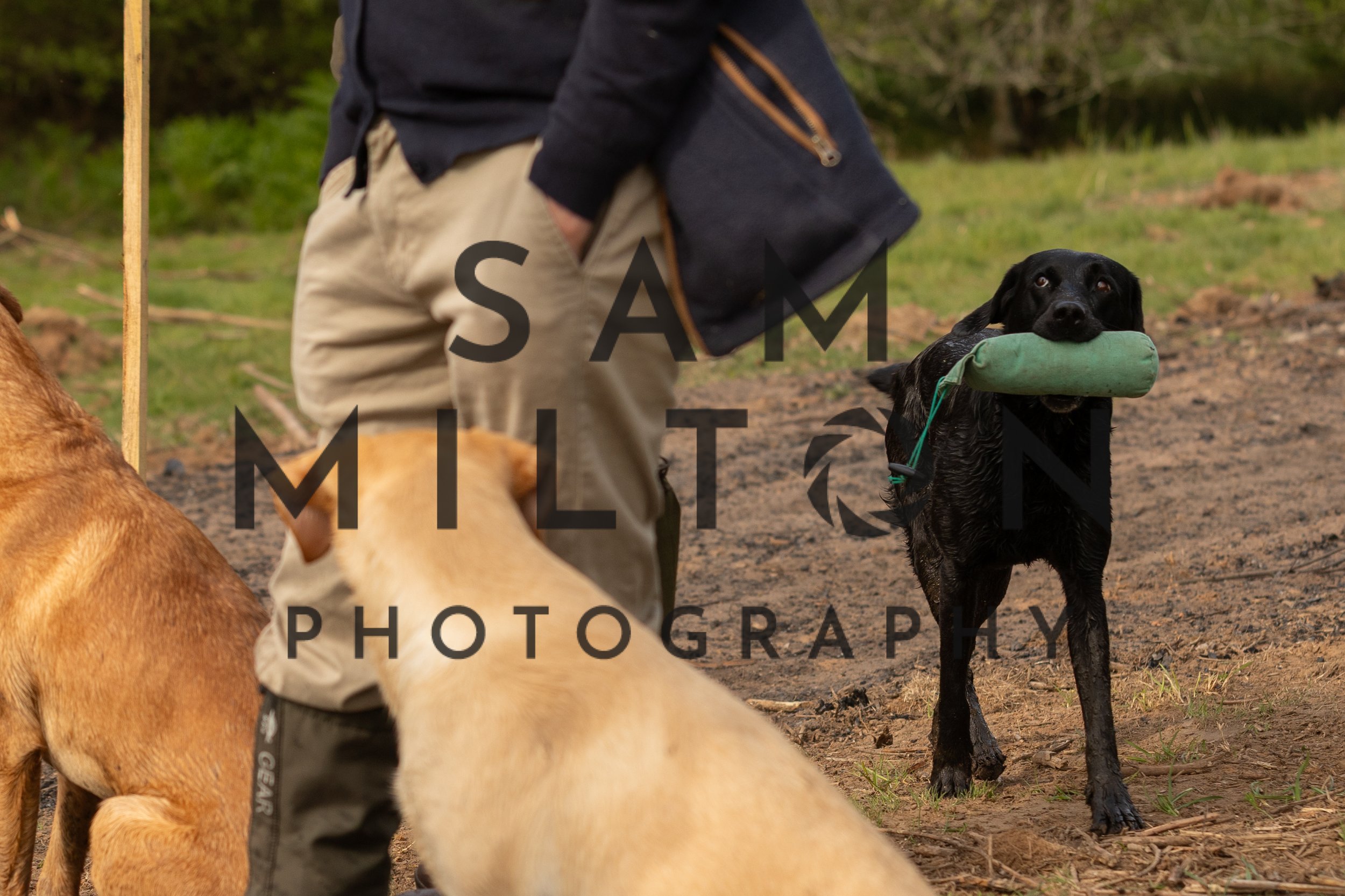 Gun Dog Challenge-49.jpg