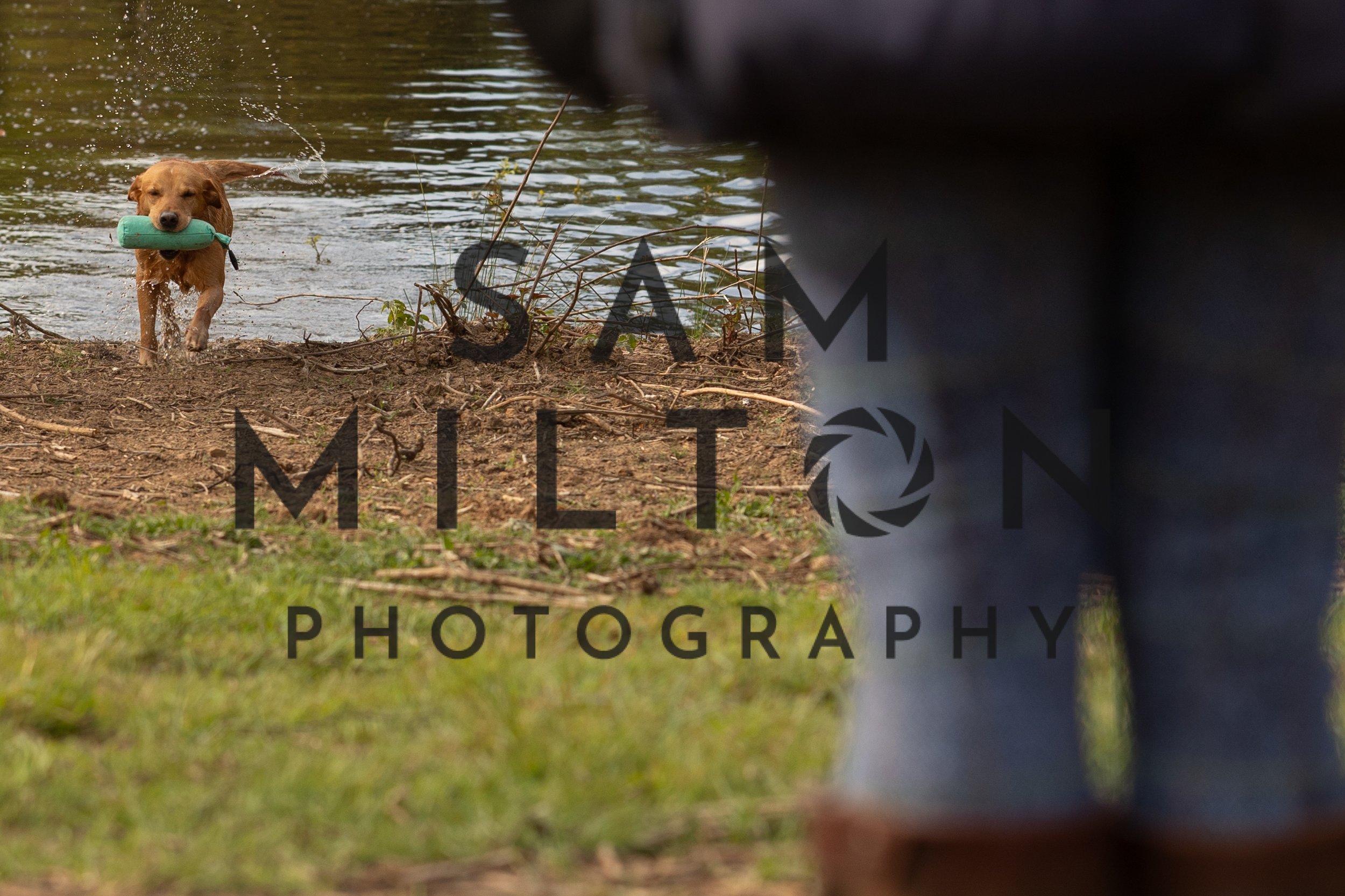 Gun Dog Challenge-26.jpg