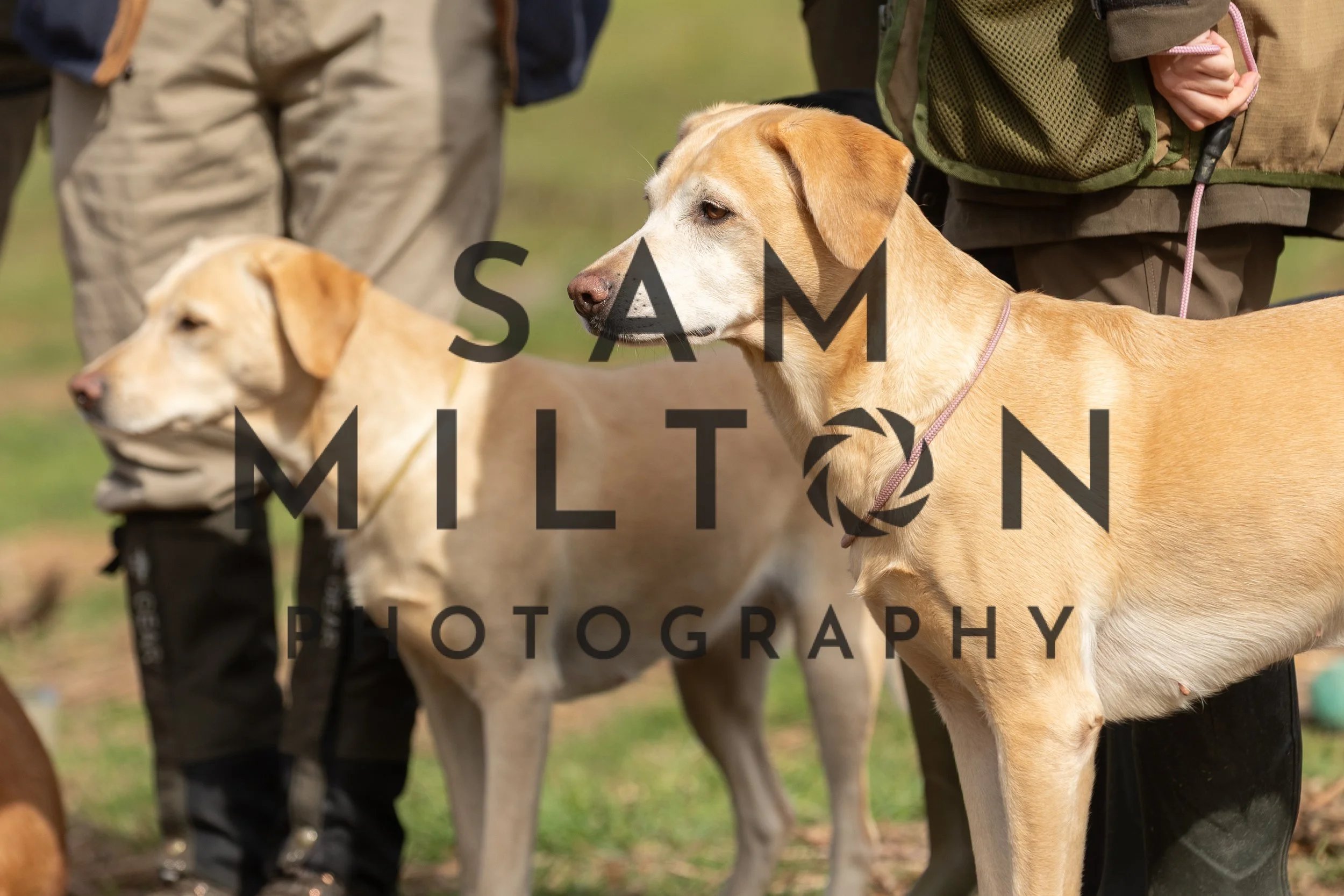 Gun Dog Challenge-40.jpg