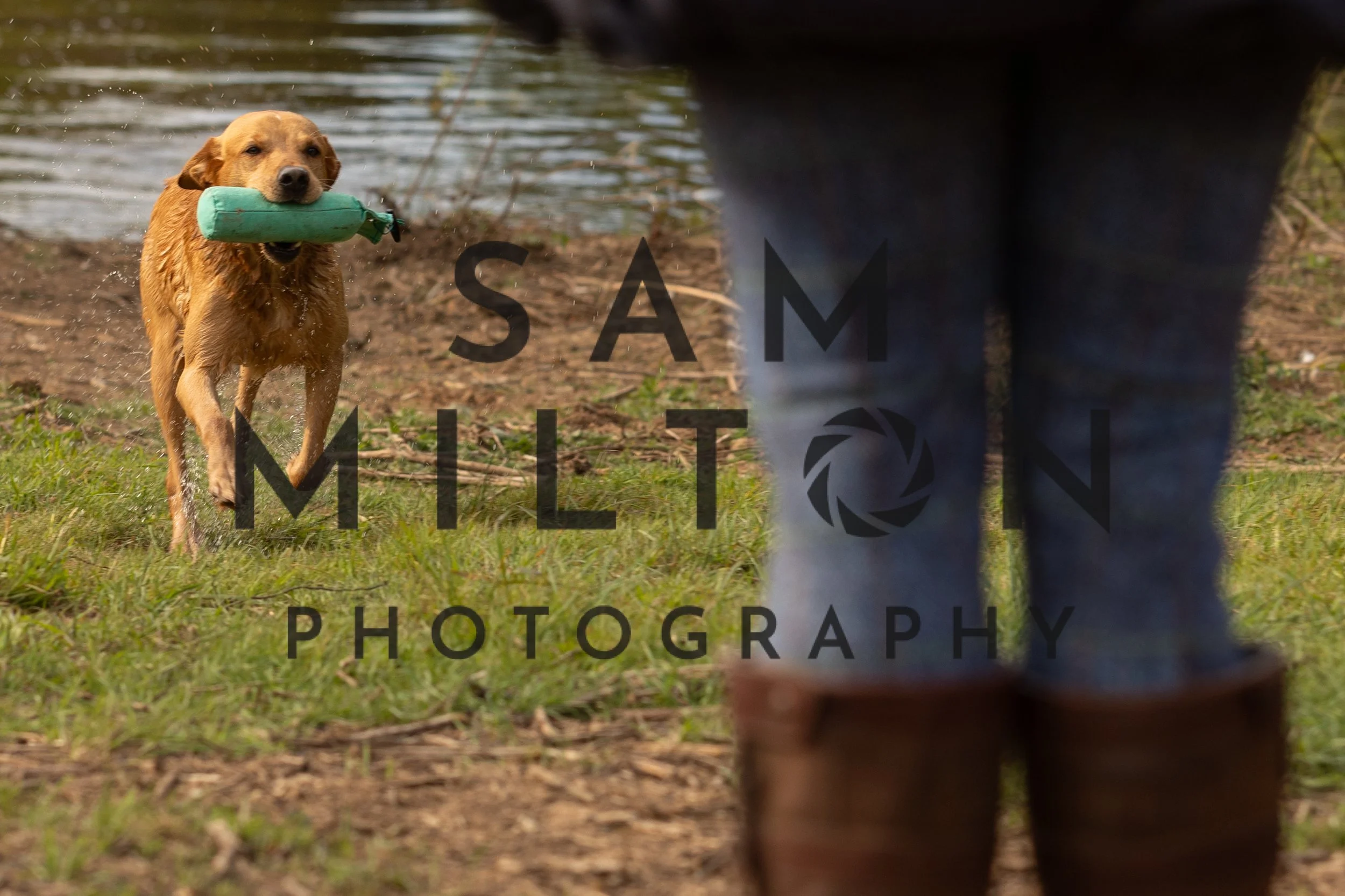 Gun Dog Challenge-27.jpg