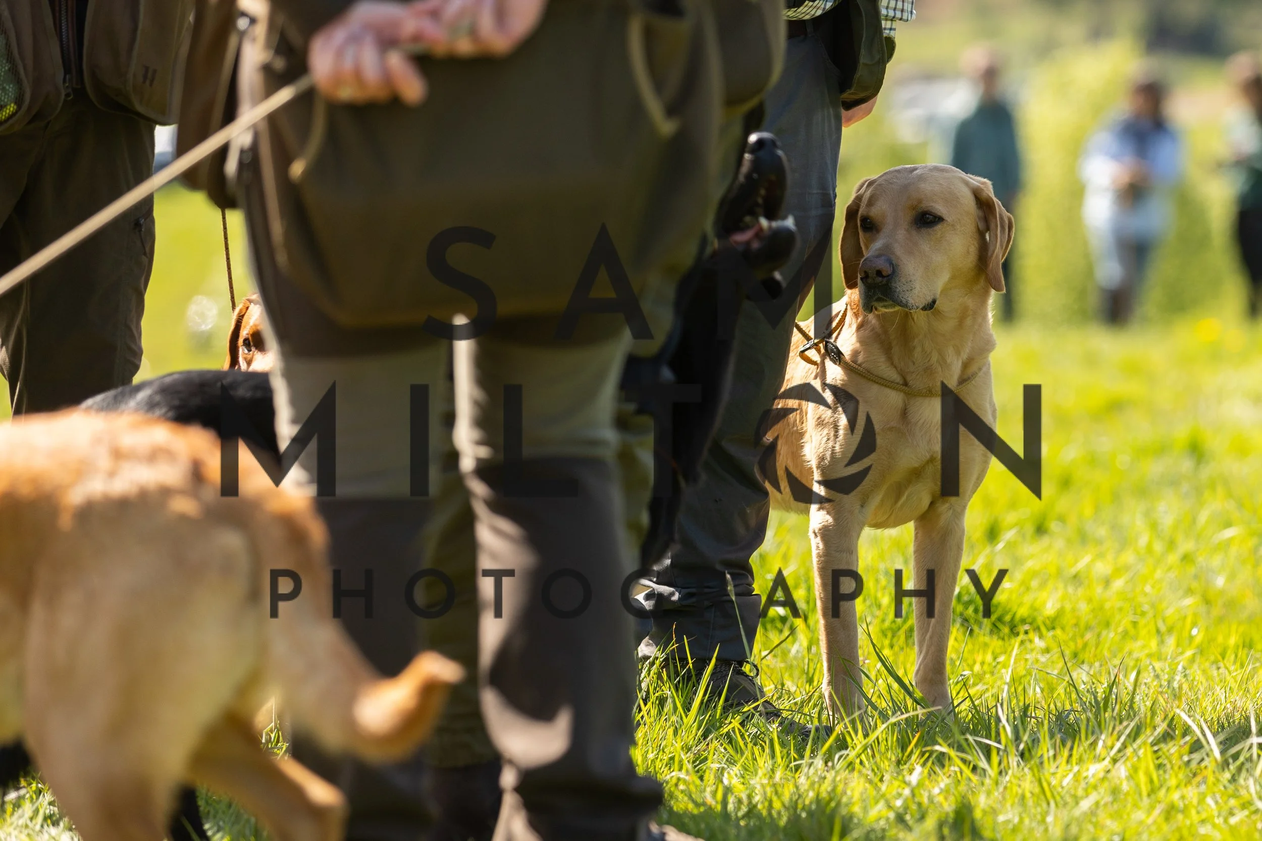 Gun Dog Challenge-228.jpg