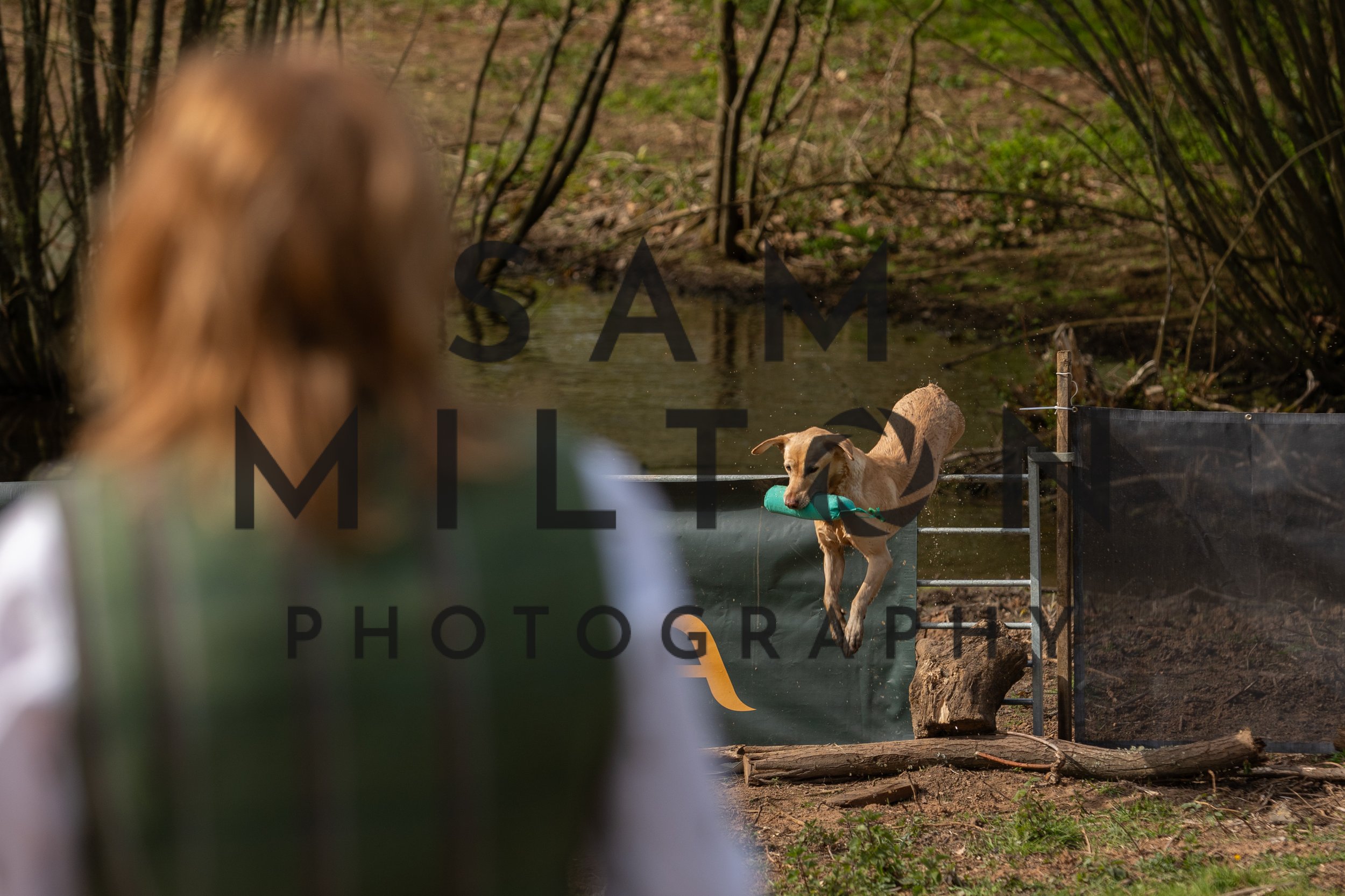 Gun Dog Challenge-98.jpg