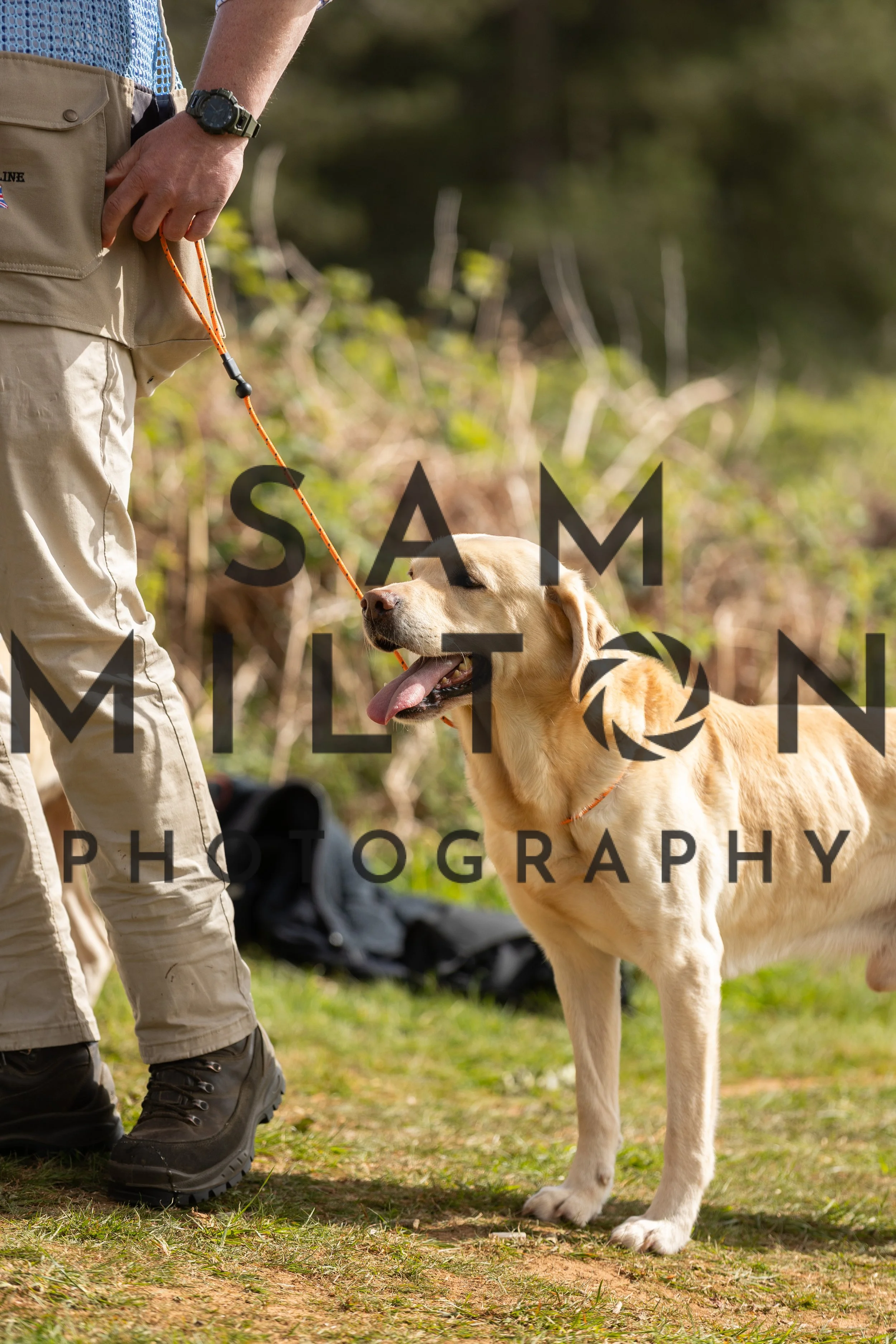 Gun Dog Challenge-135.jpg