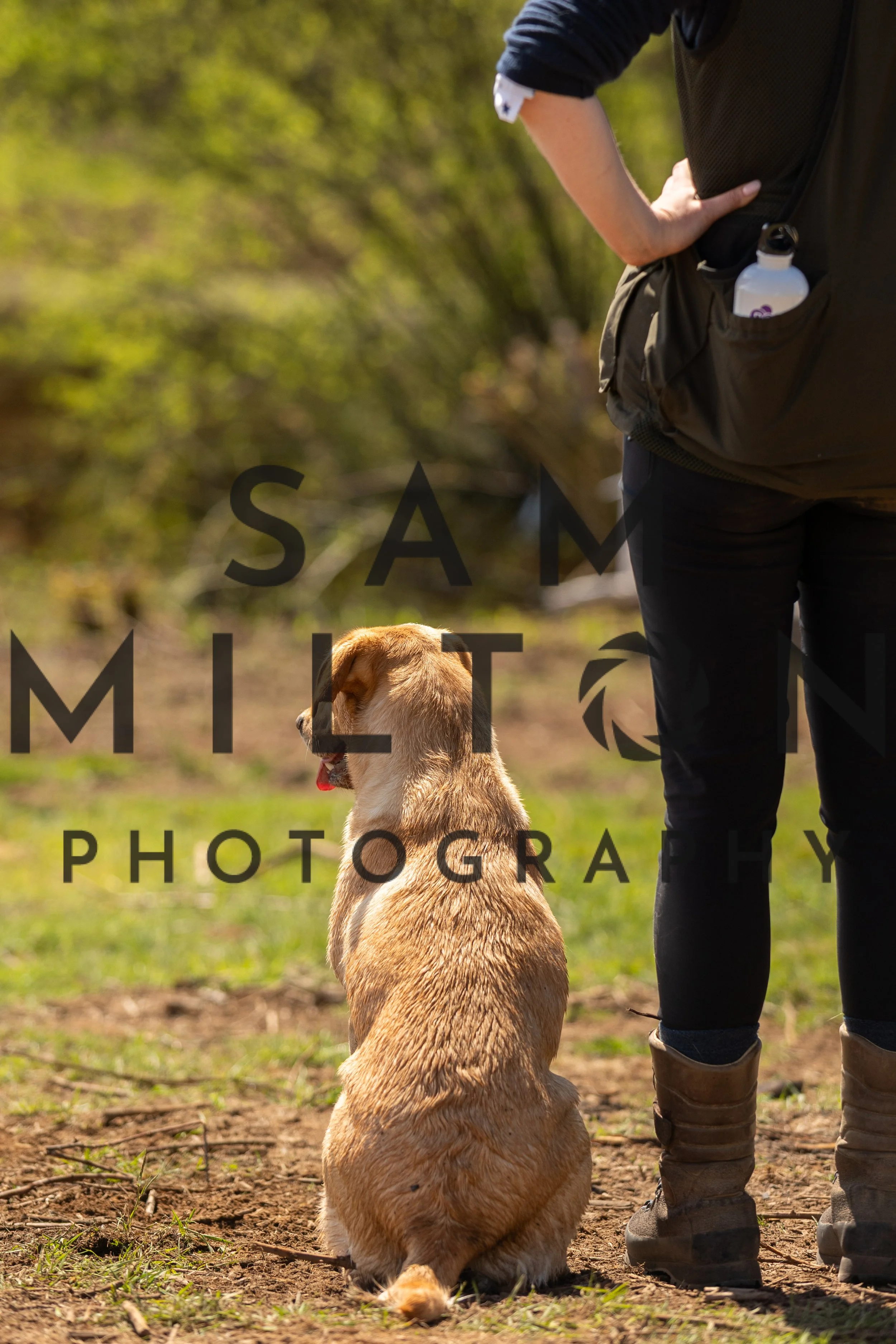 Gun Dog Challenge-348.jpg