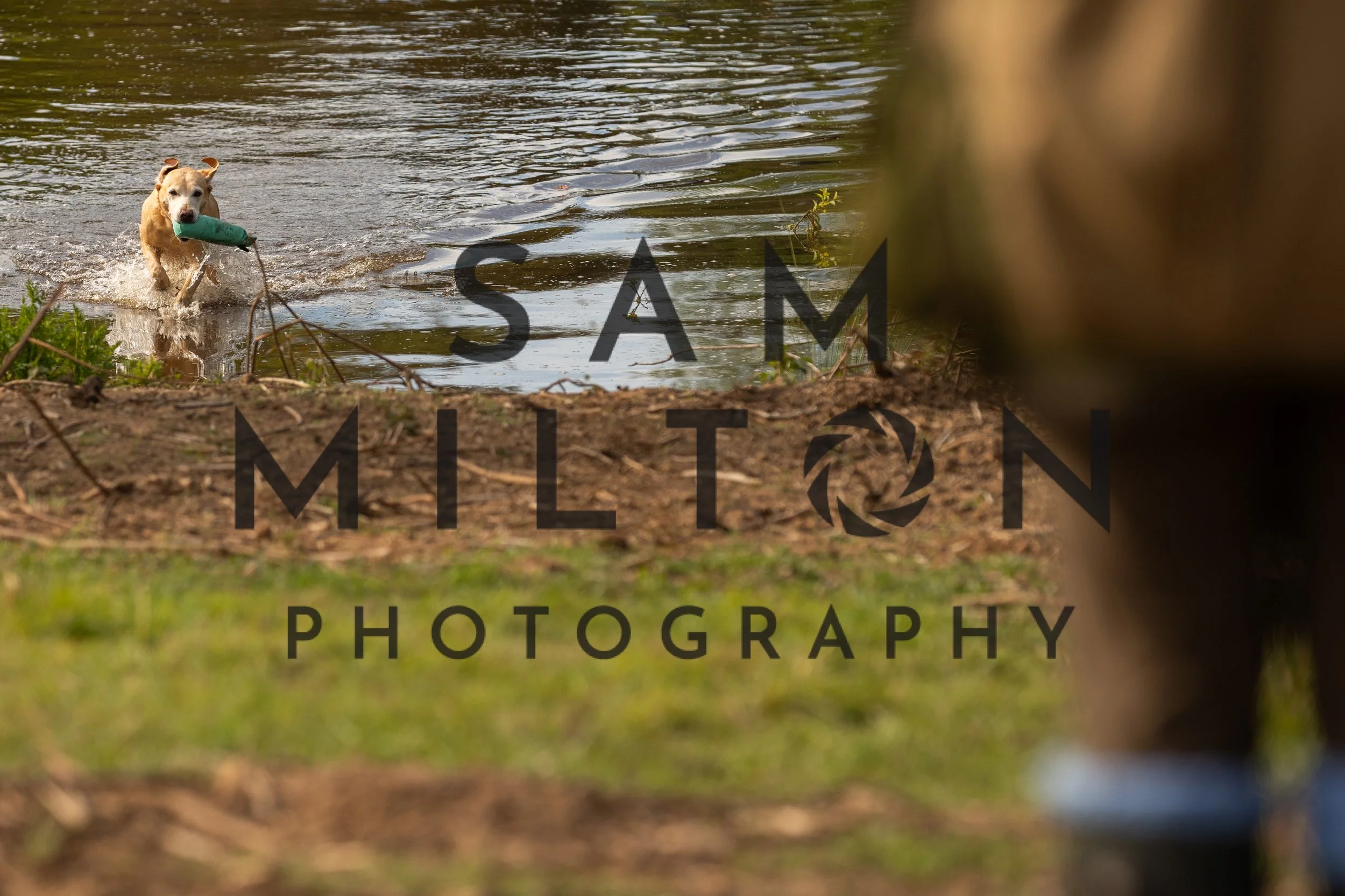 Gun Dog Challenge-55.jpg