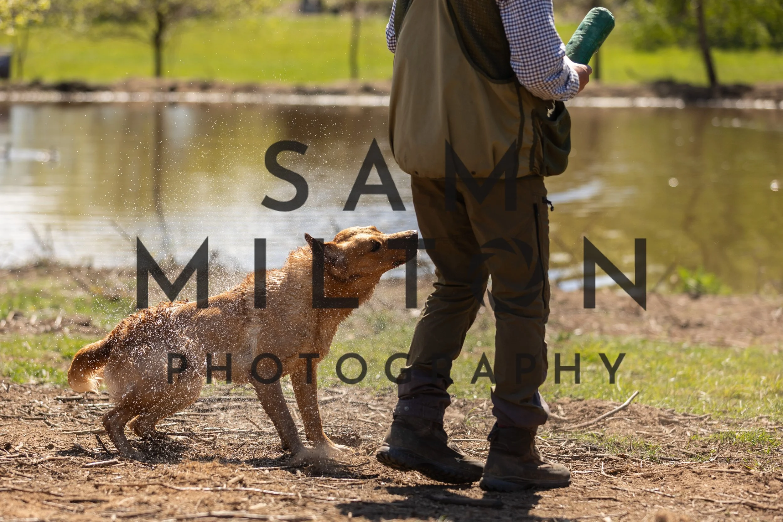 Gun Dog Challenge-351.jpg