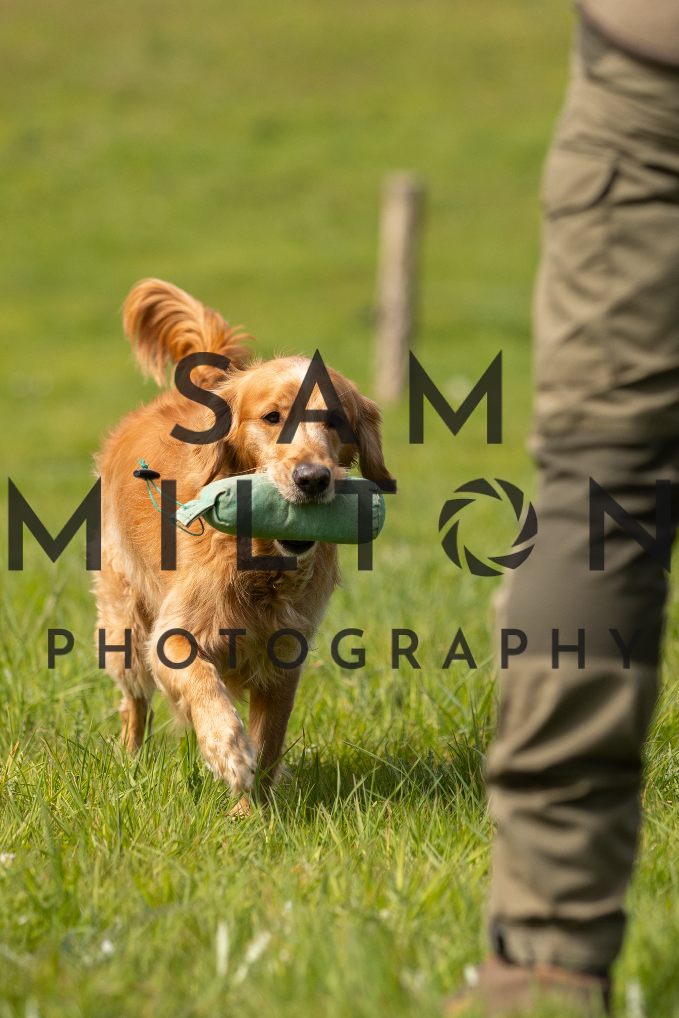 Gun Dog Challenge-190.jpg