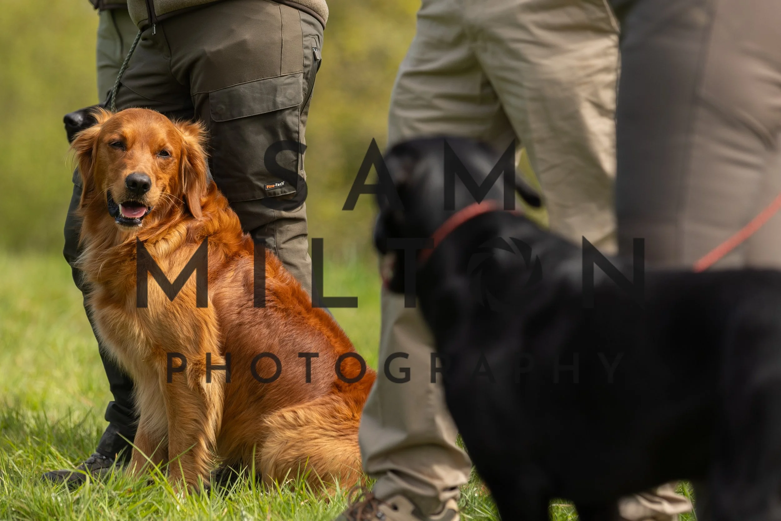 Gun Dog Challenge-186.jpg