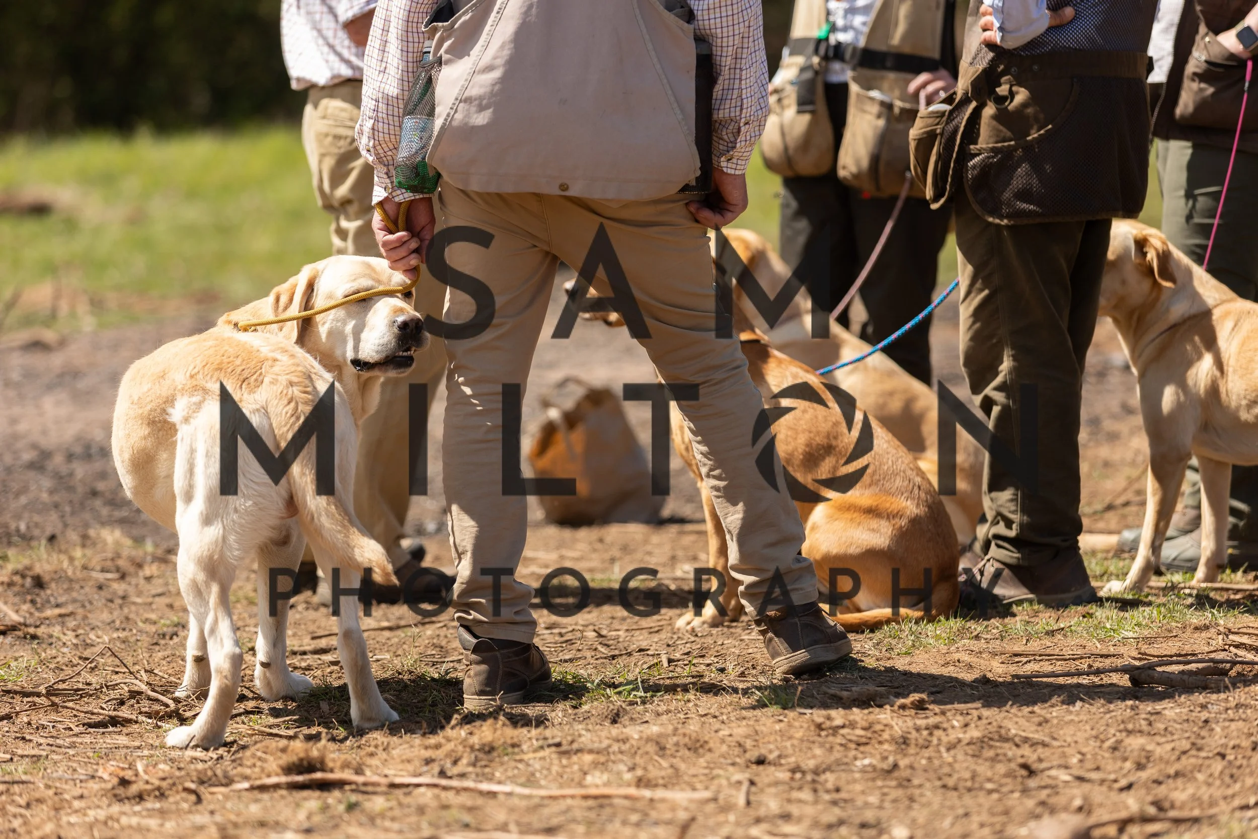 Gun Dog Challenge-356.jpg