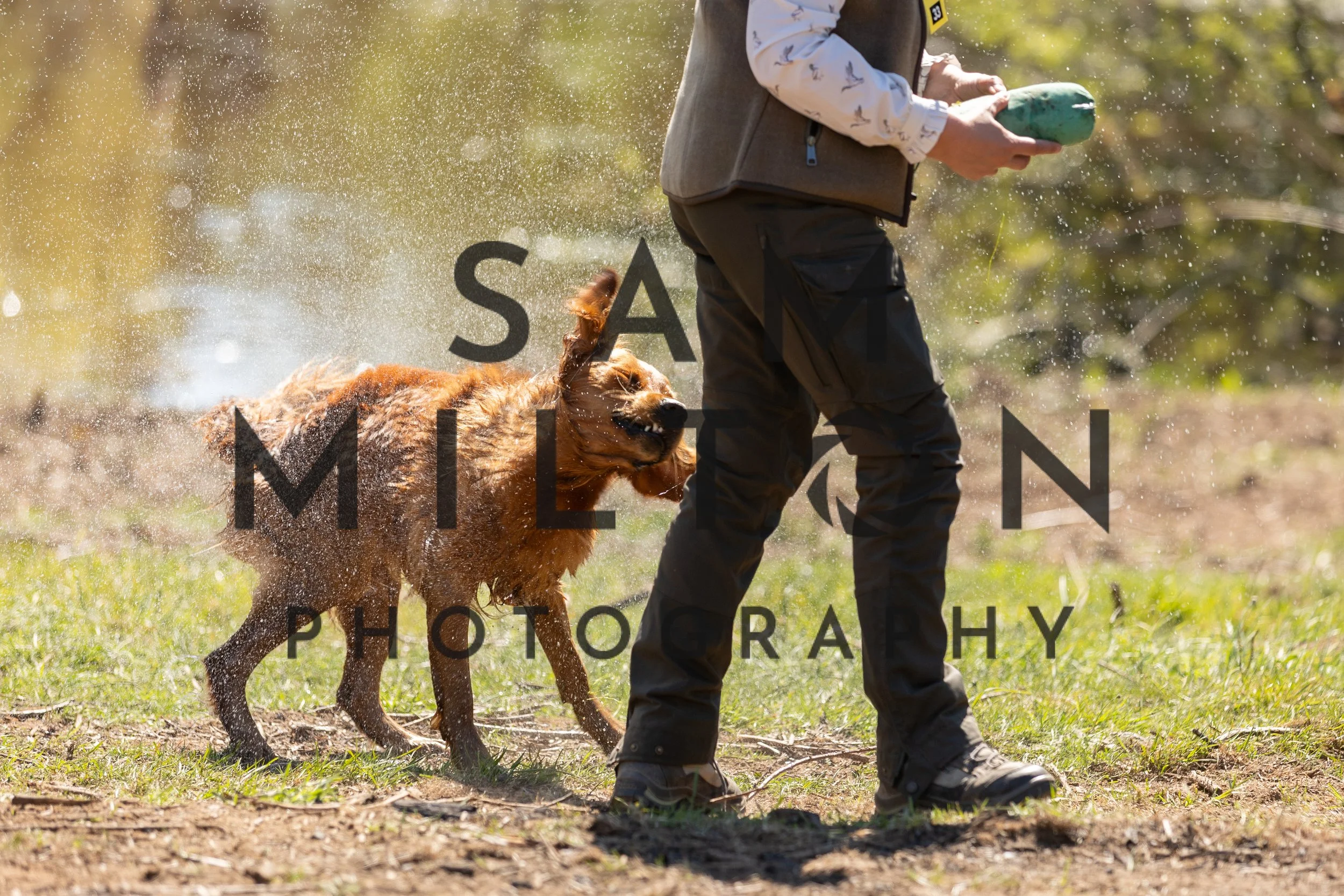 Gun Dog Challenge-382.jpg