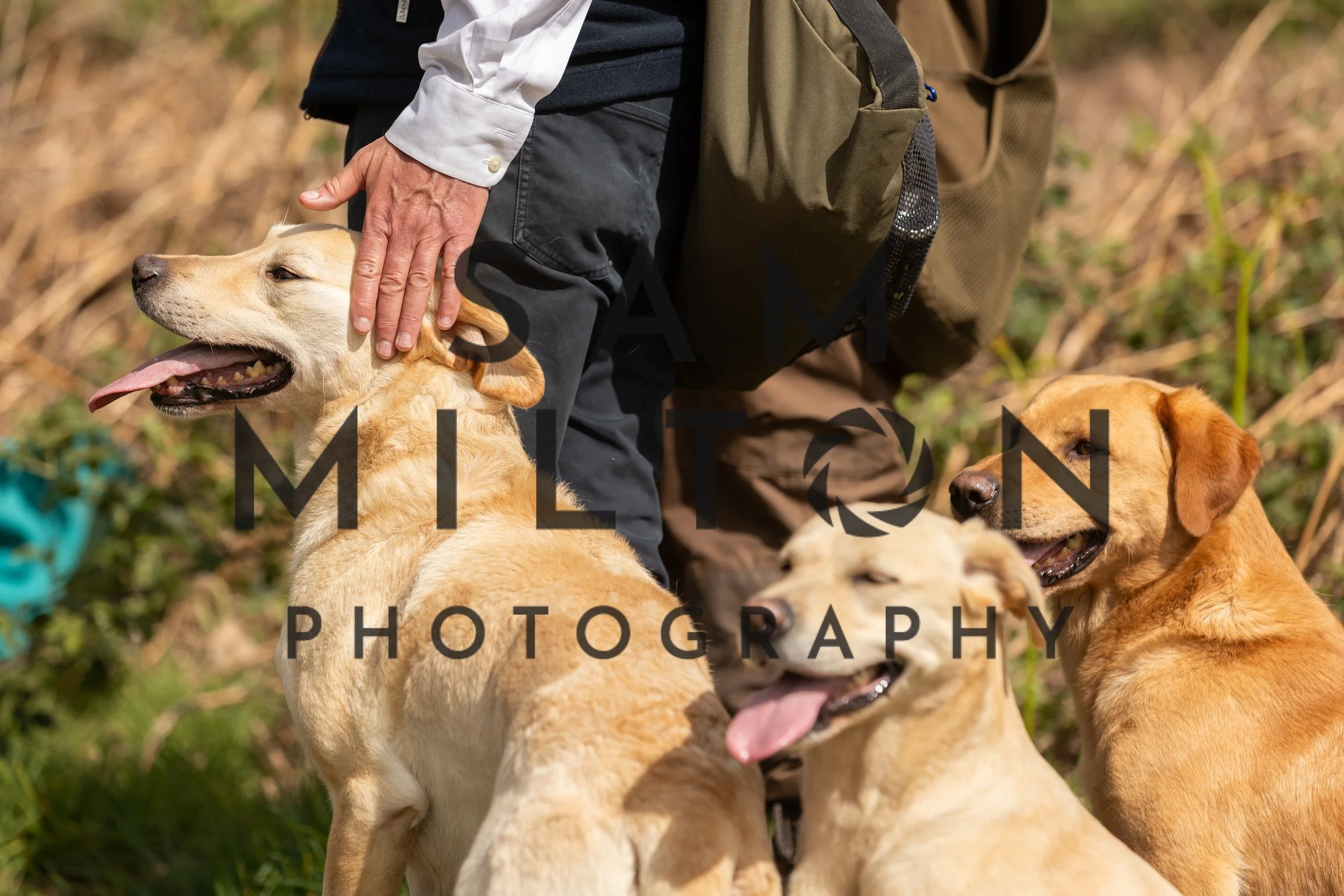 Gun Dog Challenge-144.jpg