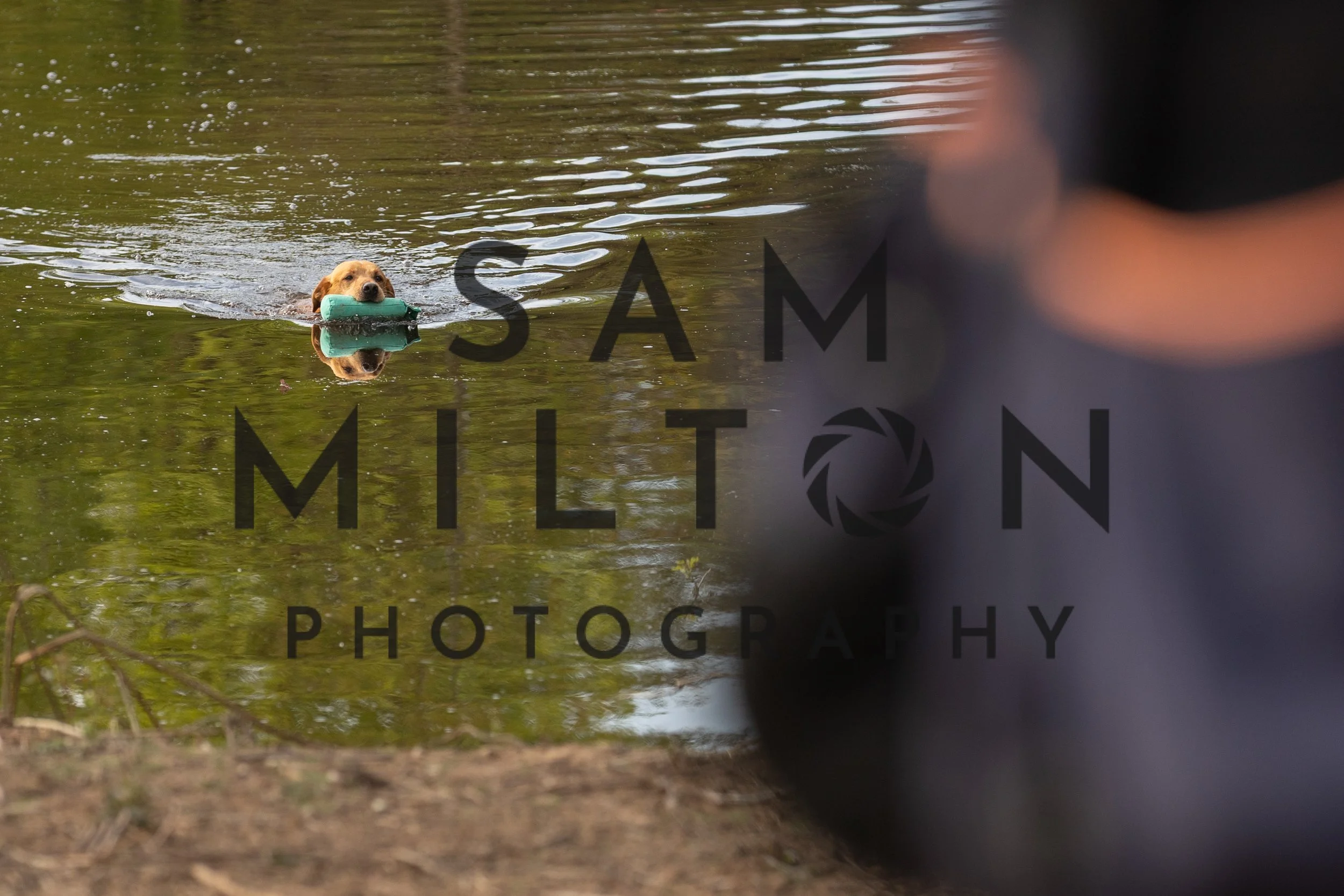 Gun Dog Challenge-25.jpg