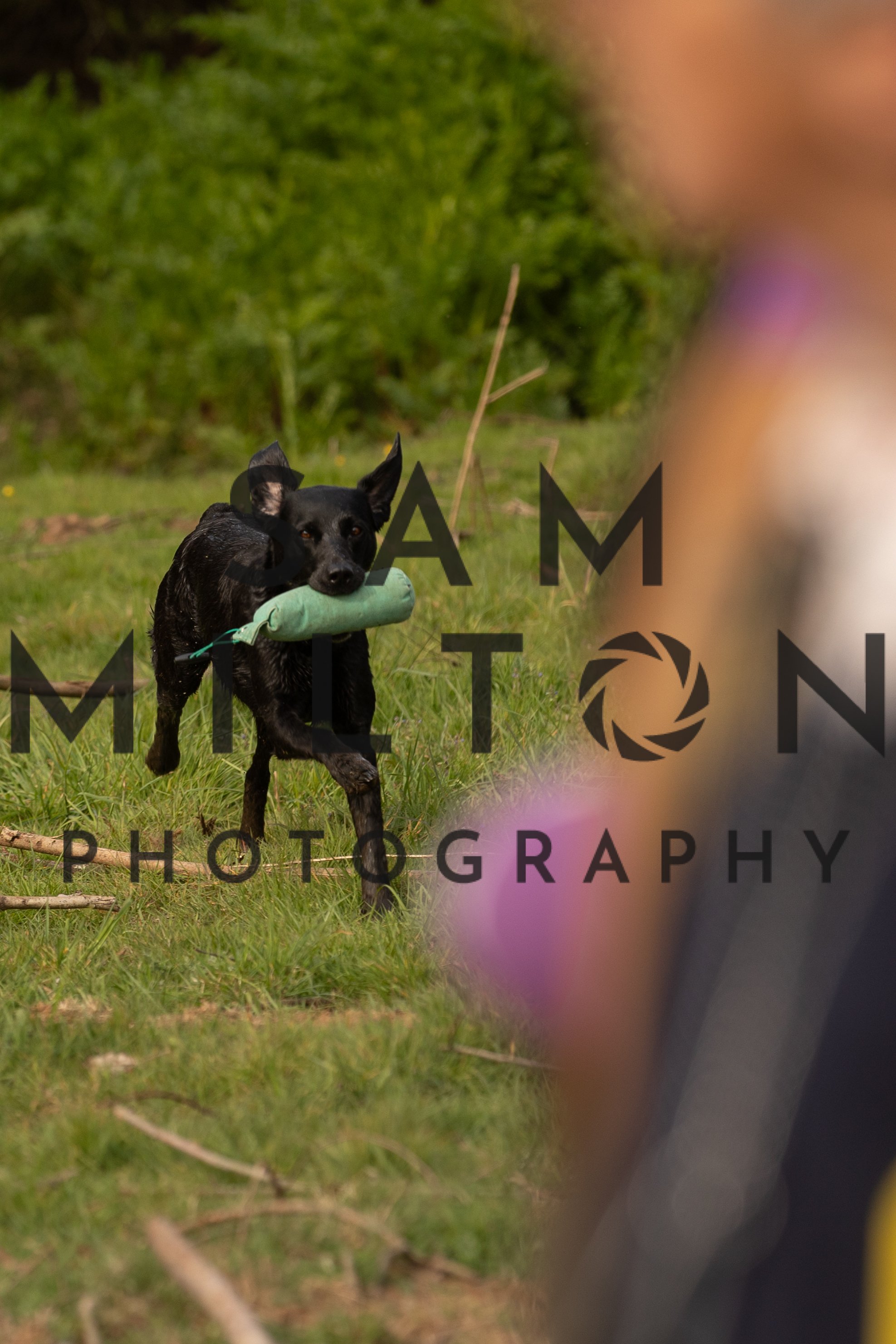 Gun Dog Challenge-48.jpg