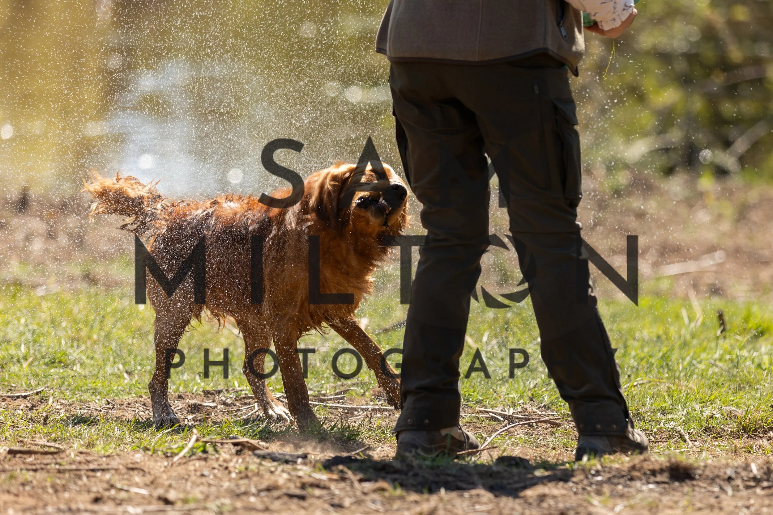 Gun Dog Challenge-380.jpg