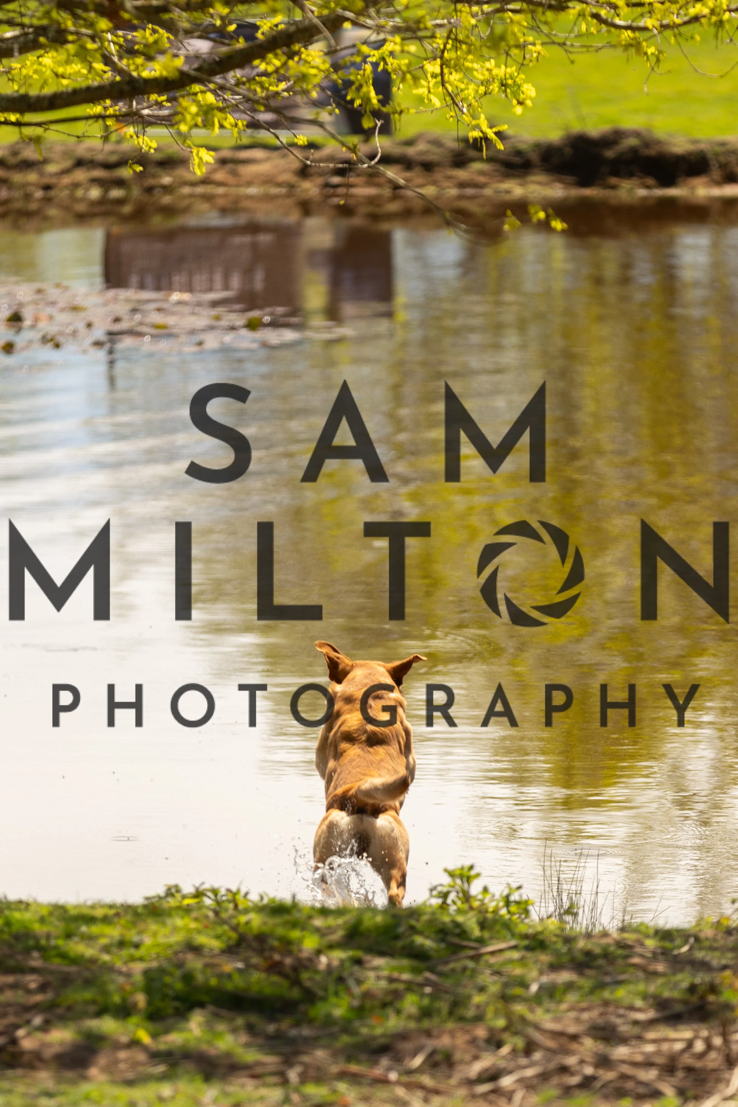 Gun Dog Challenge-346.jpg