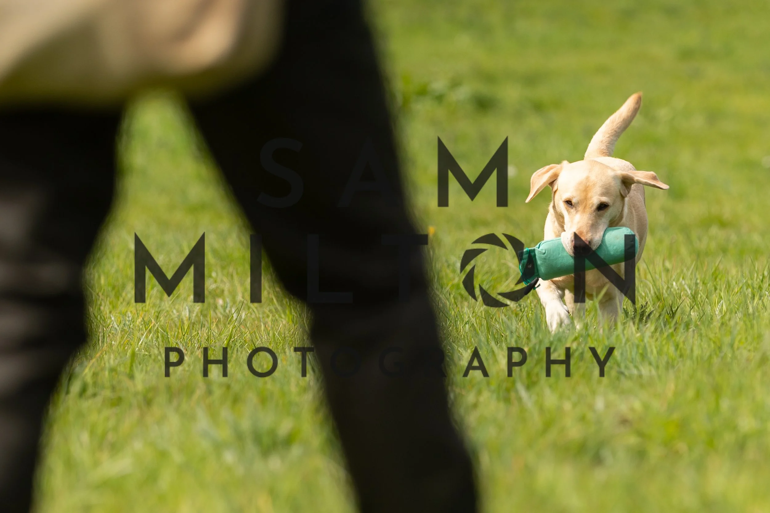 Gun Dog Challenge-180.jpg