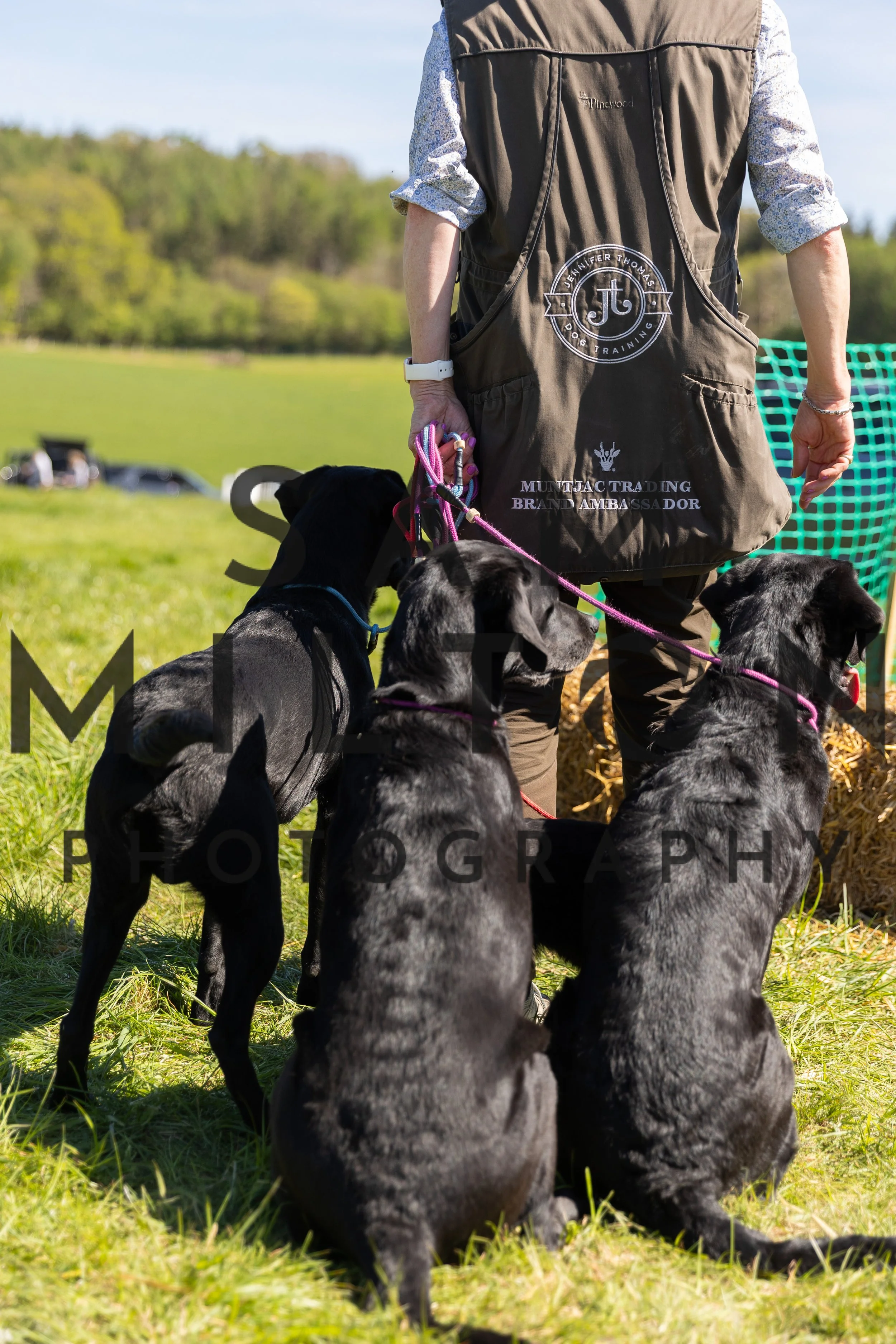 Gun Dog Challenge-395.jpg