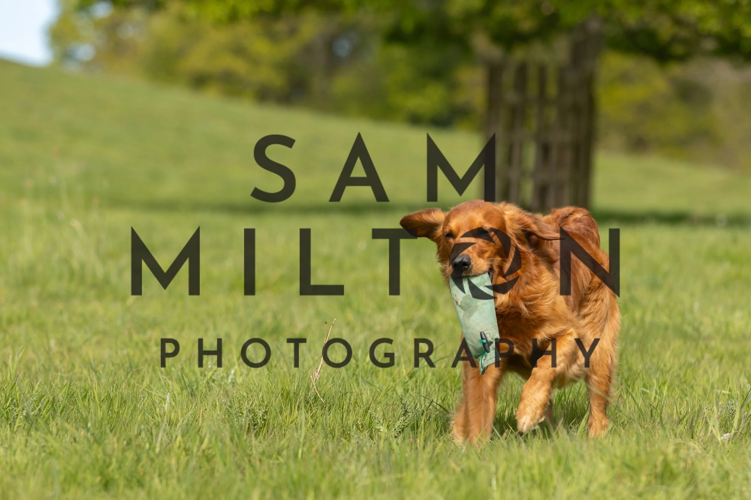 Gun Dog Challenge-198.jpg