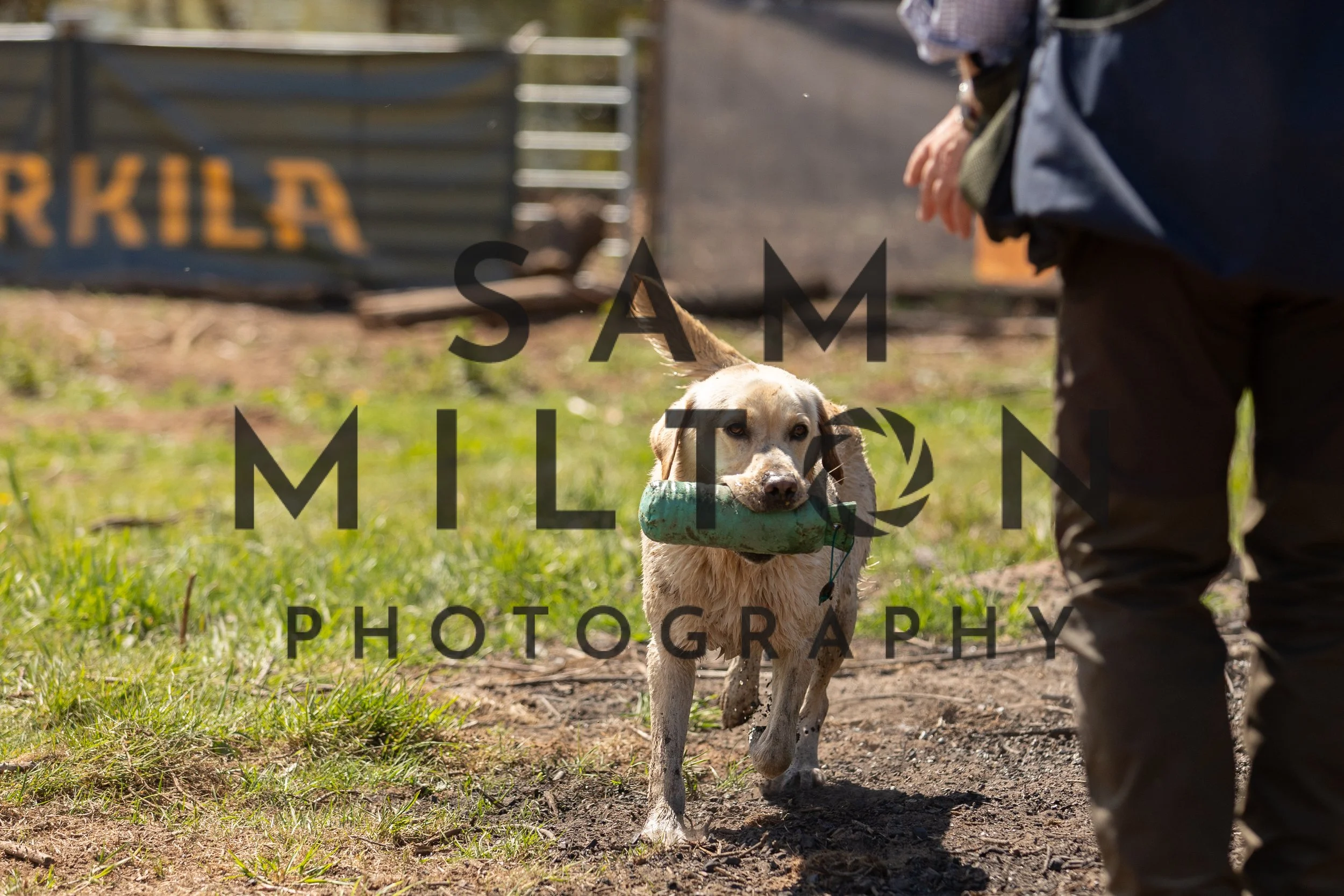 Gun Dog Challenge-339.jpg