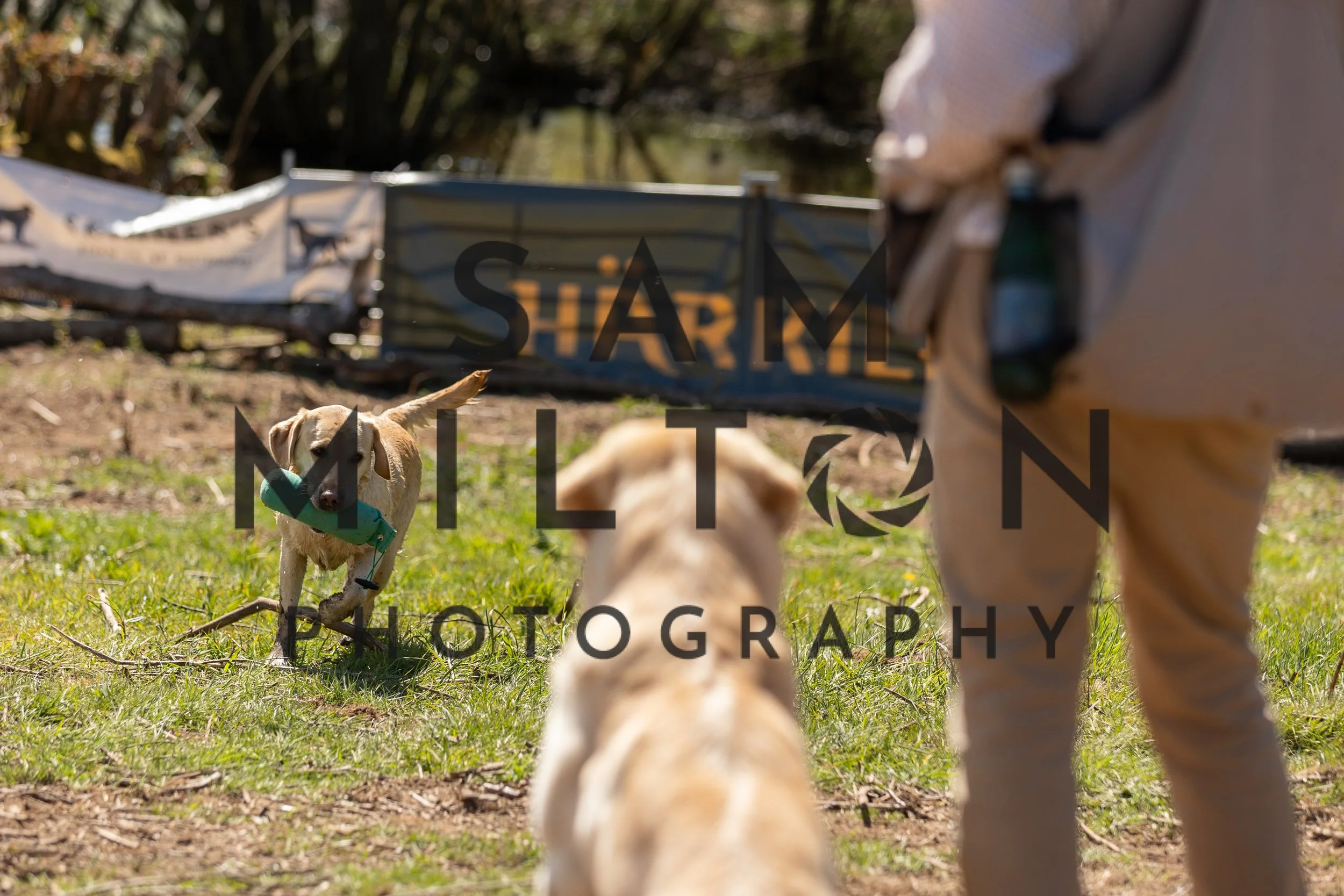 Gun Dog Challenge-359.jpg