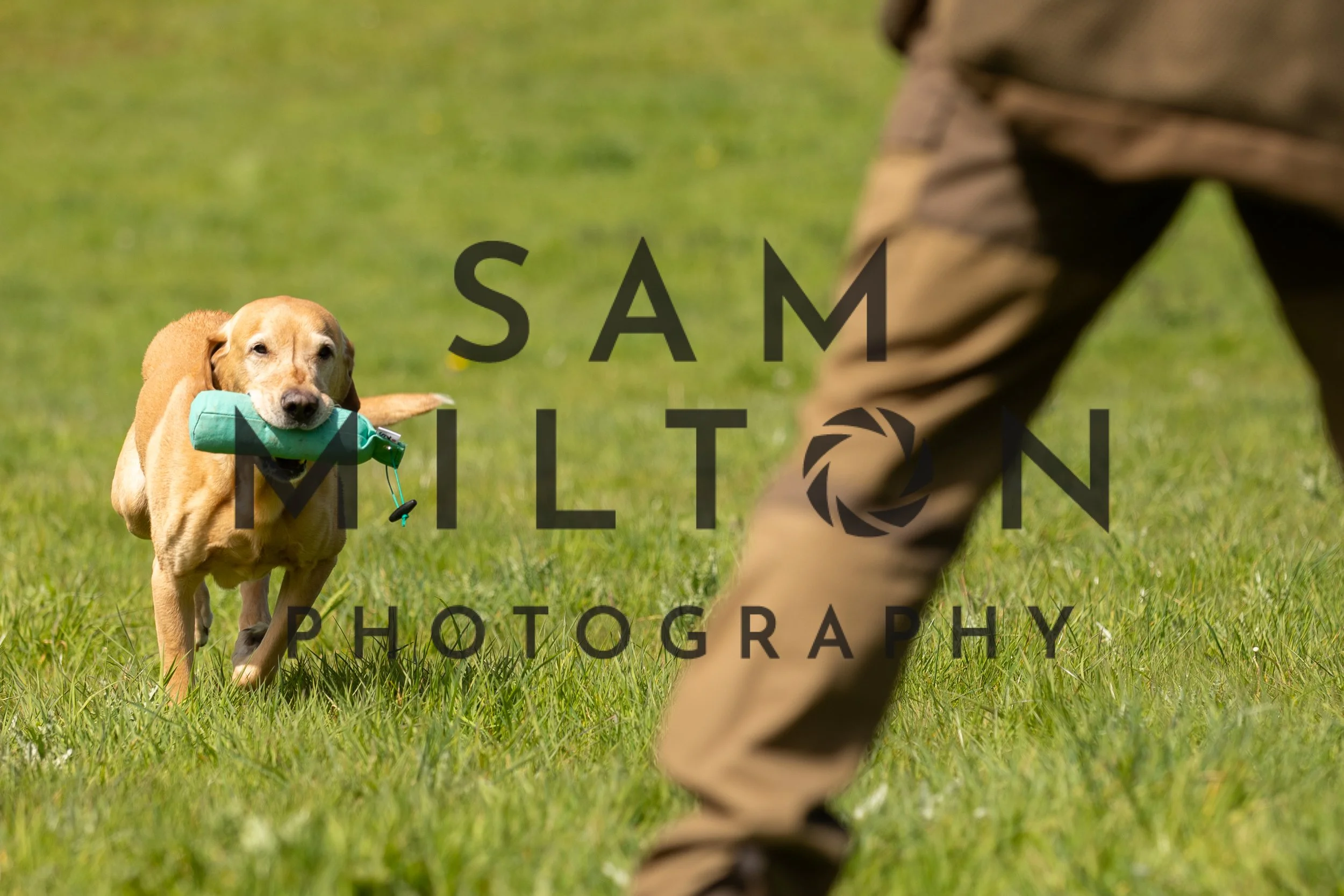 Gun Dog Challenge-210.jpg