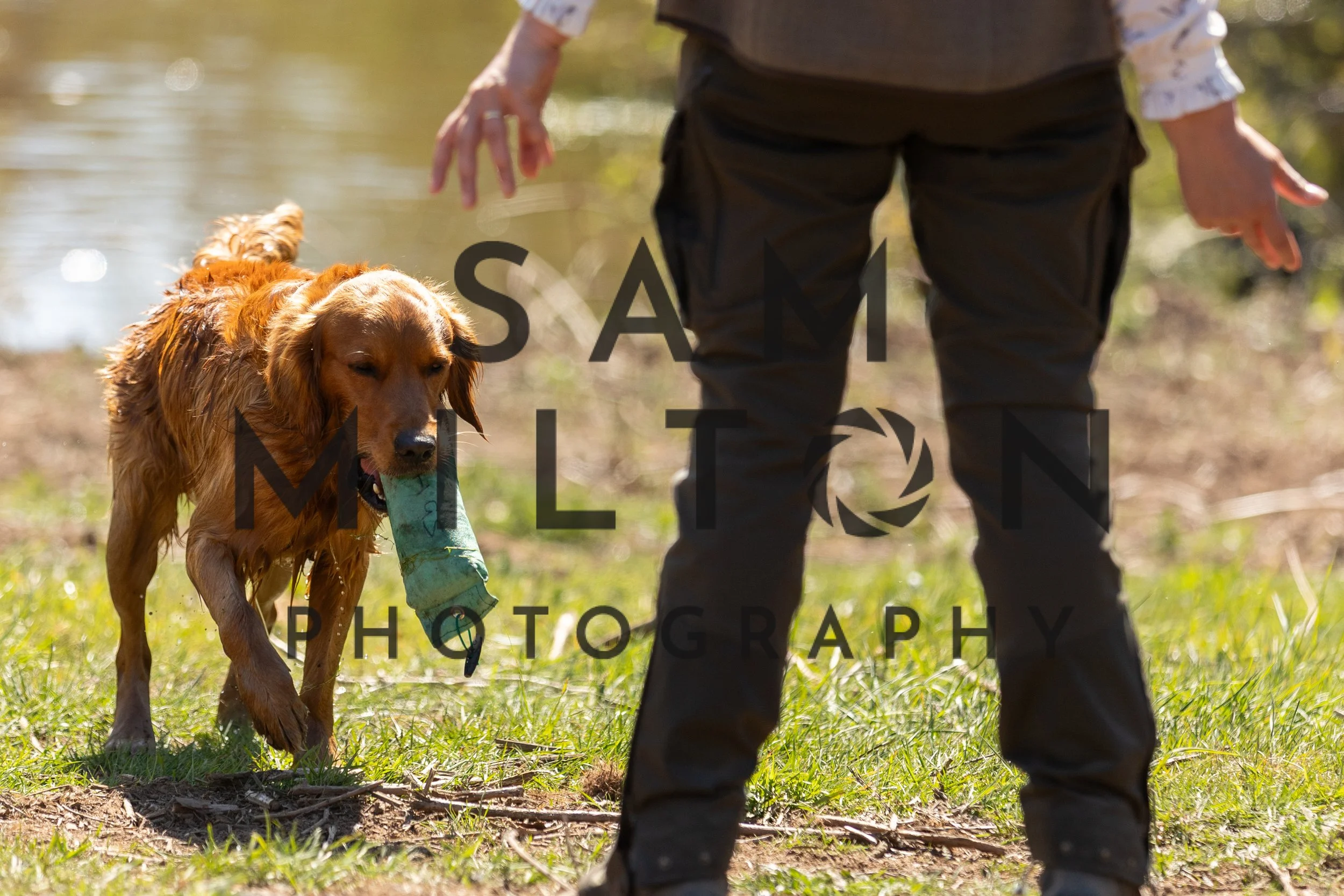 Gun Dog Challenge-379.jpg