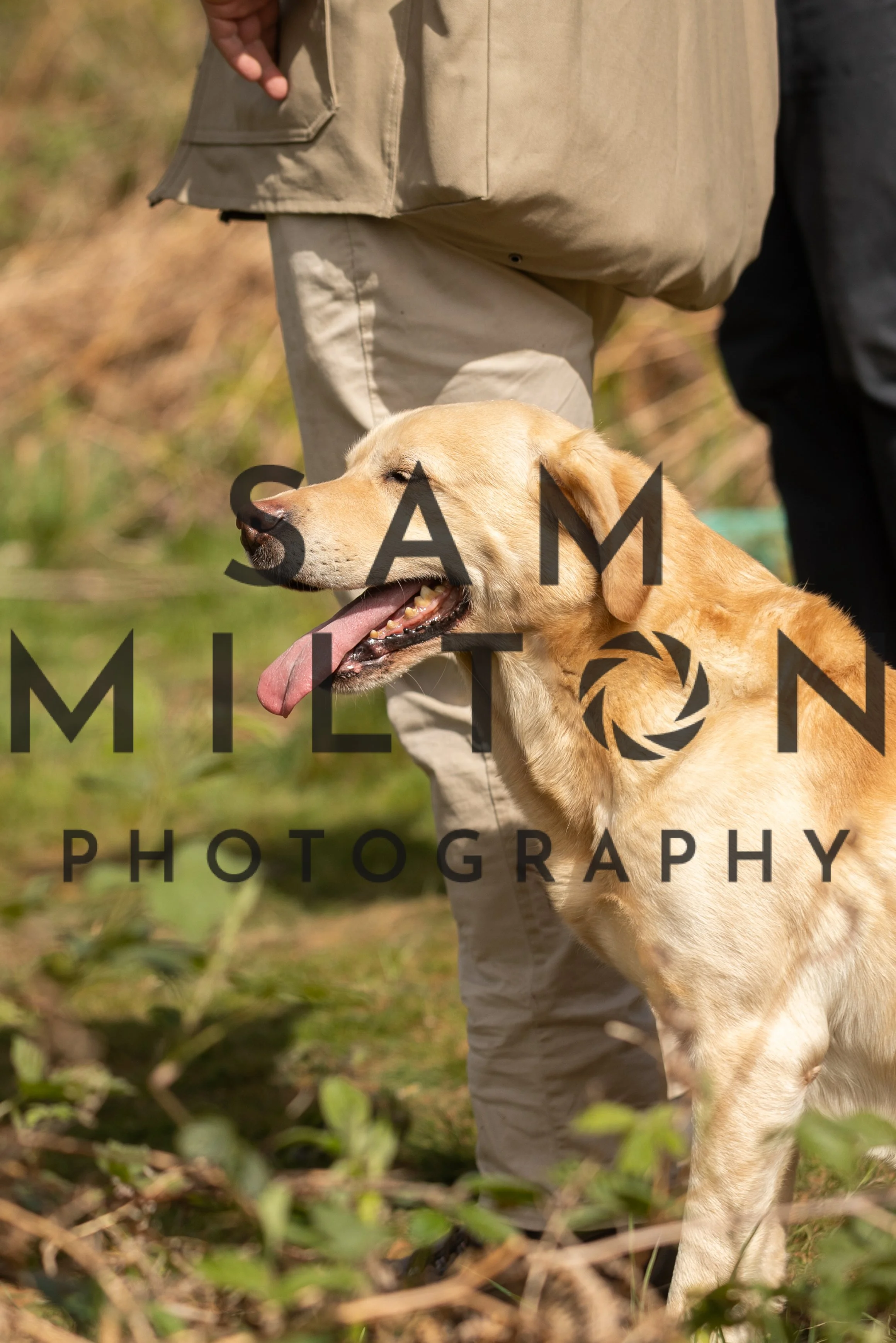 Gun Dog Challenge-147.jpg