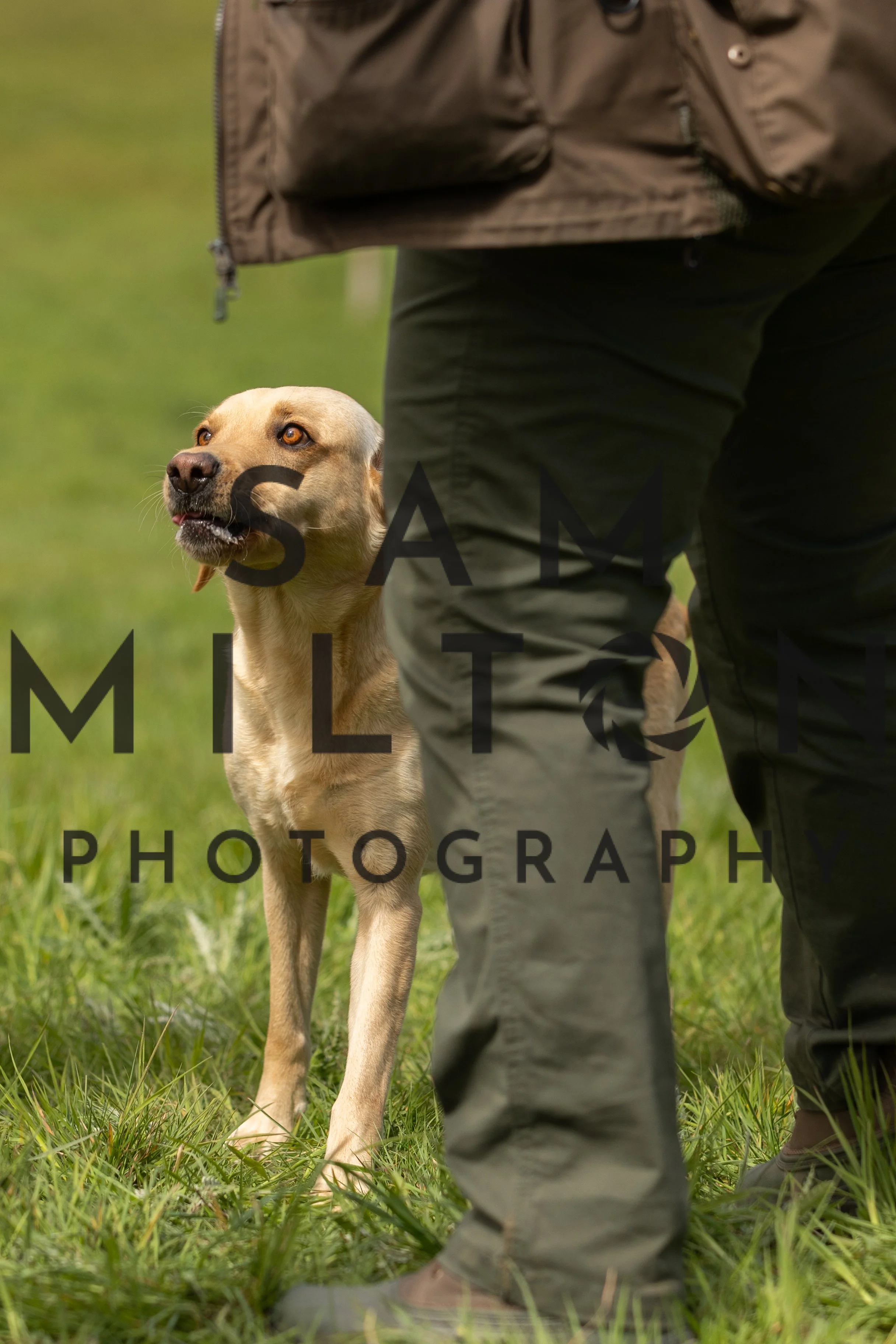 Gun Dog Challenge-173.jpg