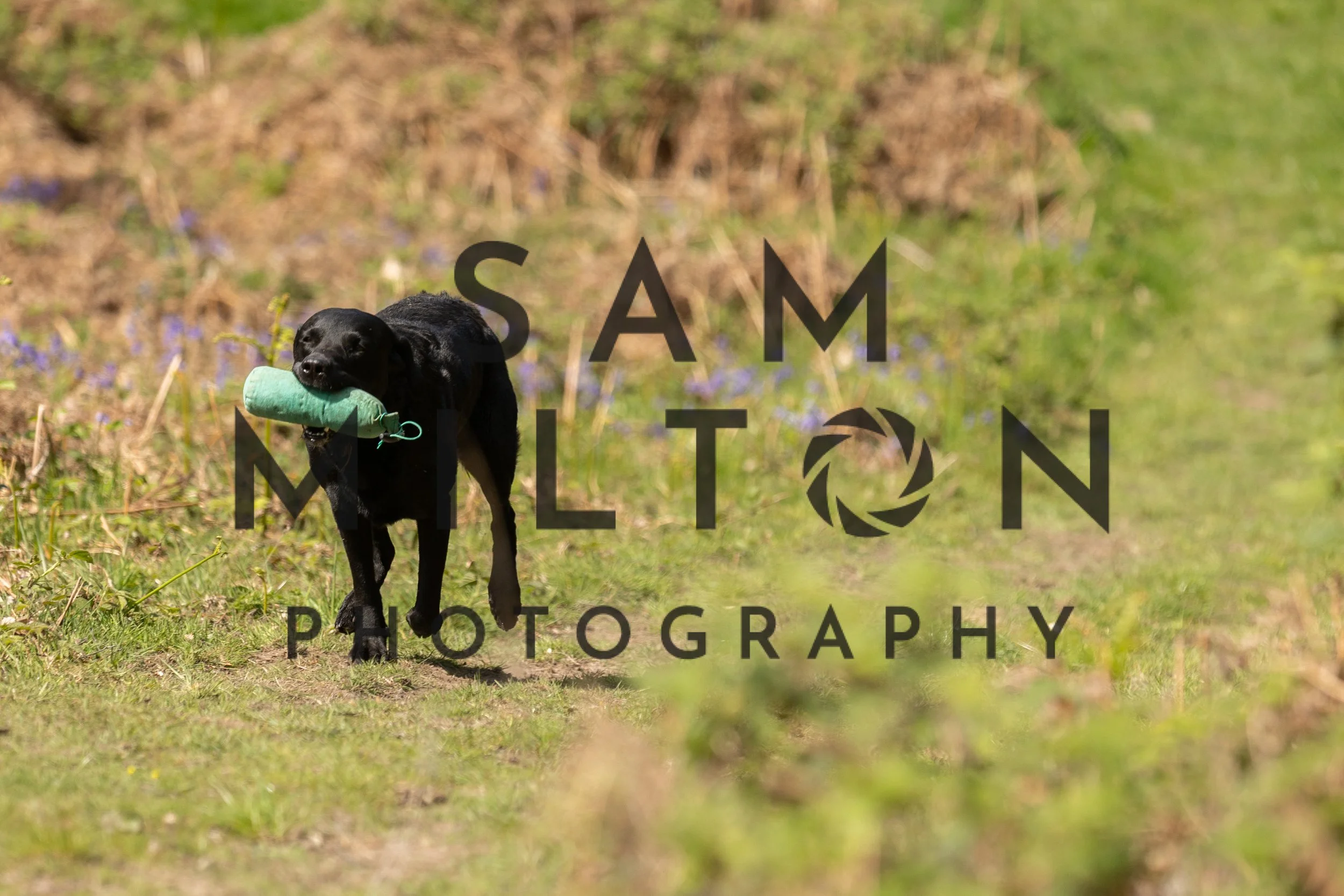 Gun Dog Challenge-278.jpg