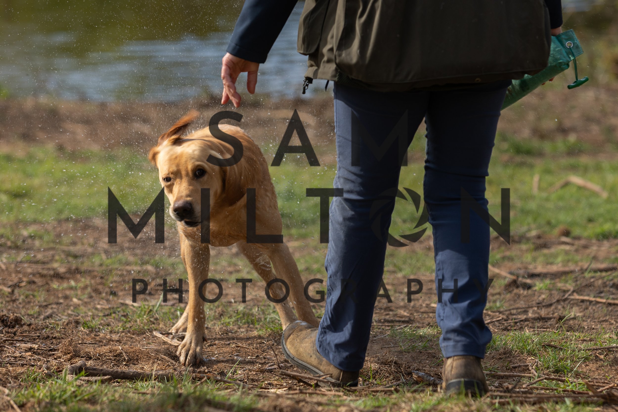 Gun Dog Challenge-82.jpg