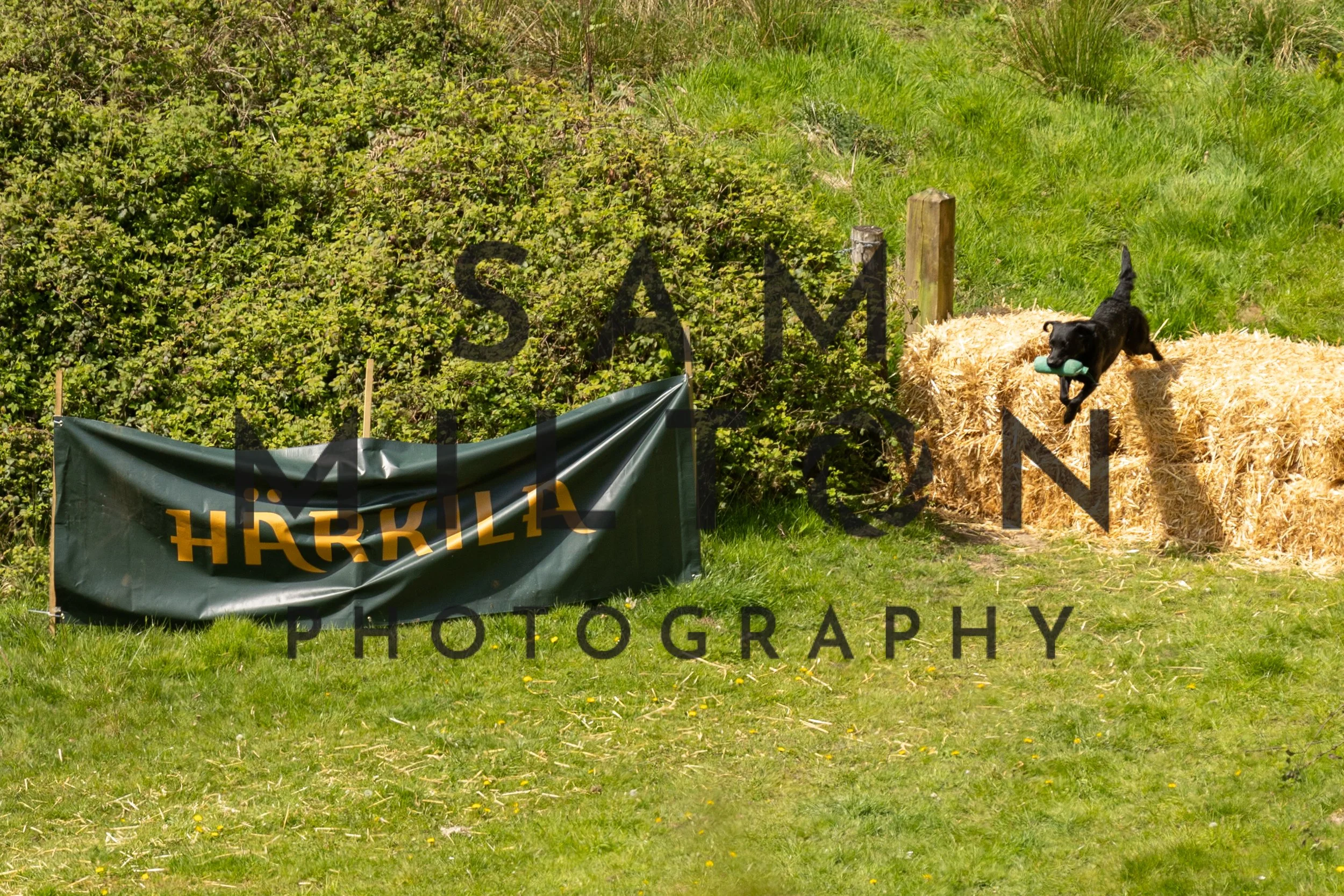 Gun Dog Challenge-277.jpg