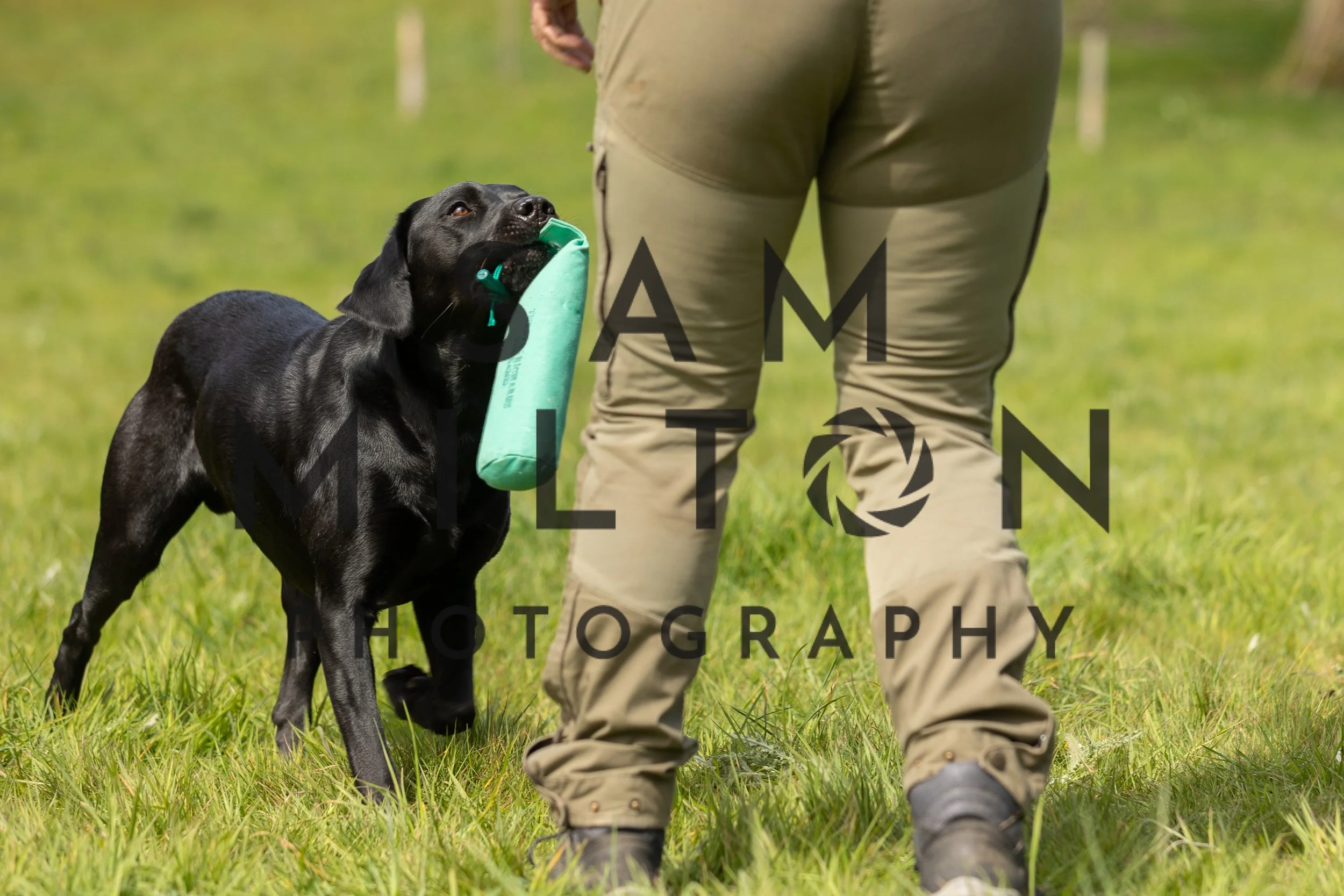 Gun Dog Challenge-194.jpg