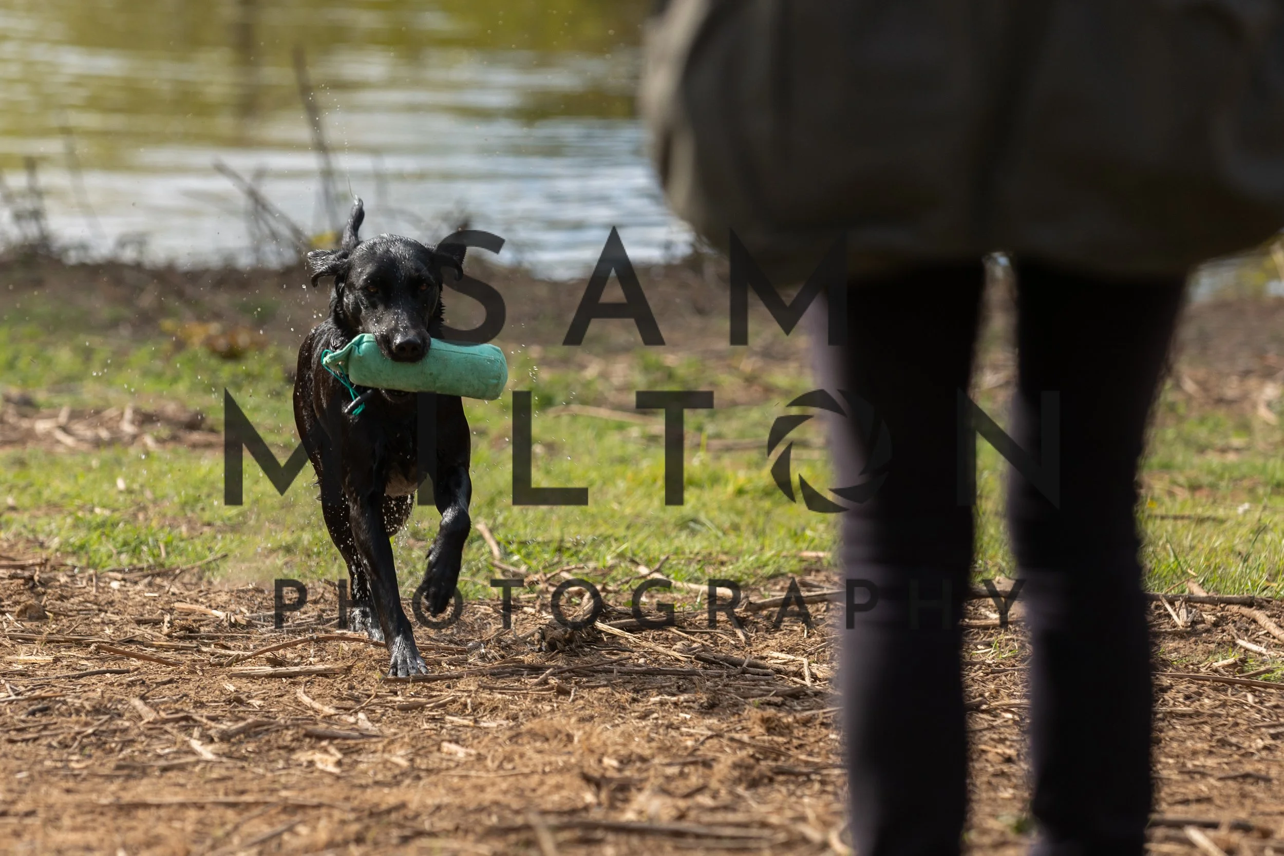 Gun Dog Challenge-87.jpg