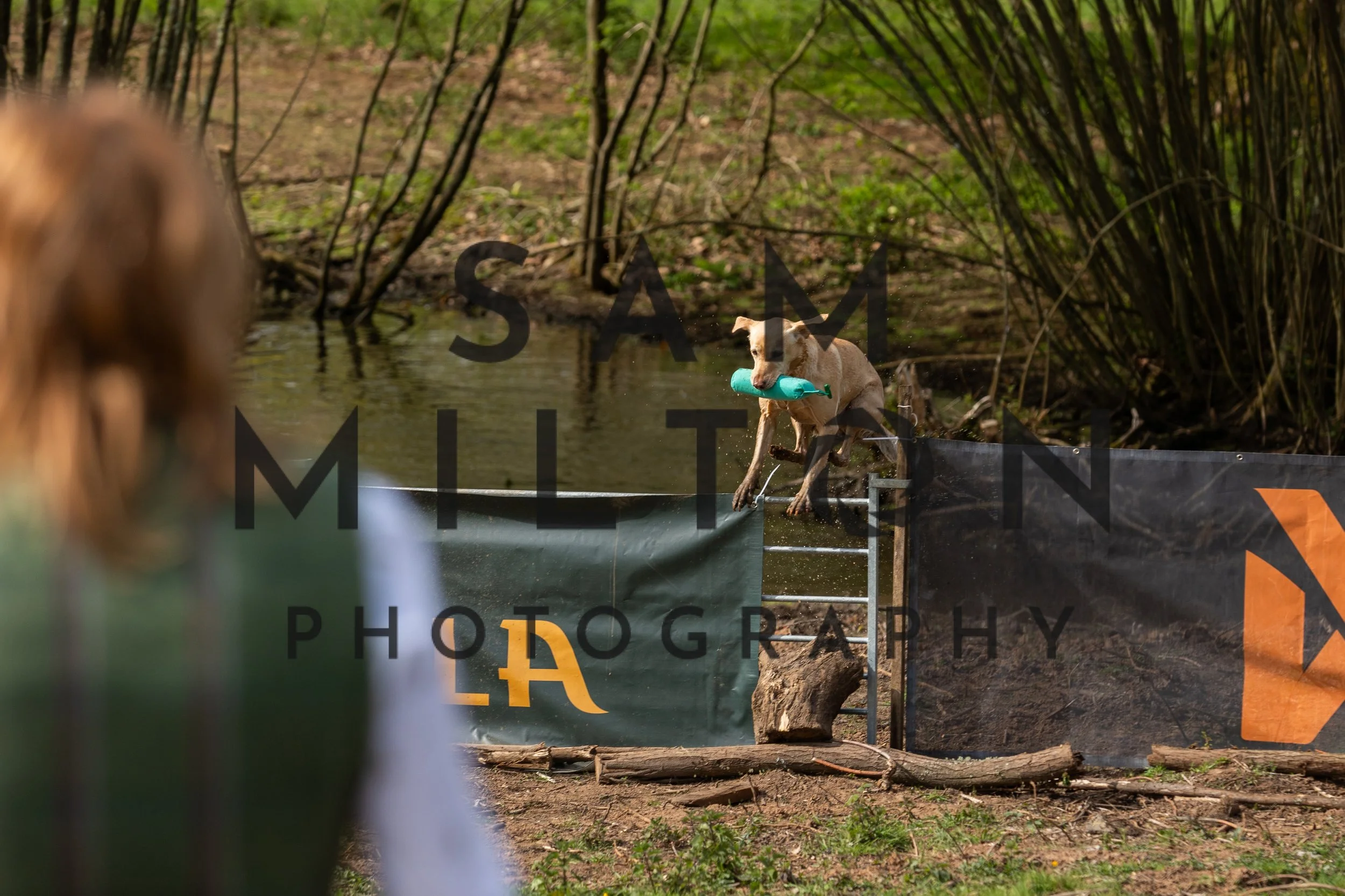 Gun Dog Challenge-97.jpg