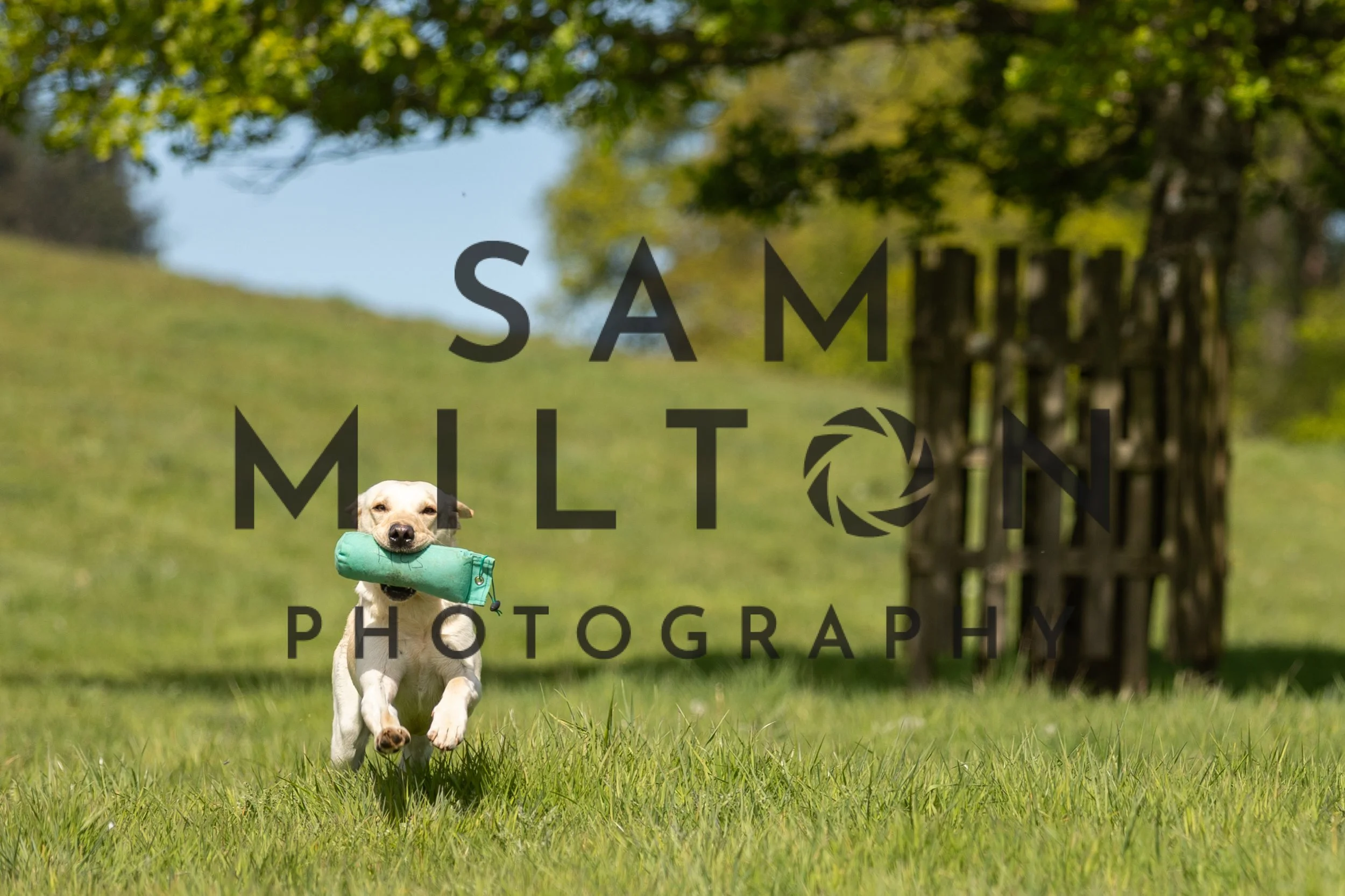 Gun Dog Challenge-207.jpg